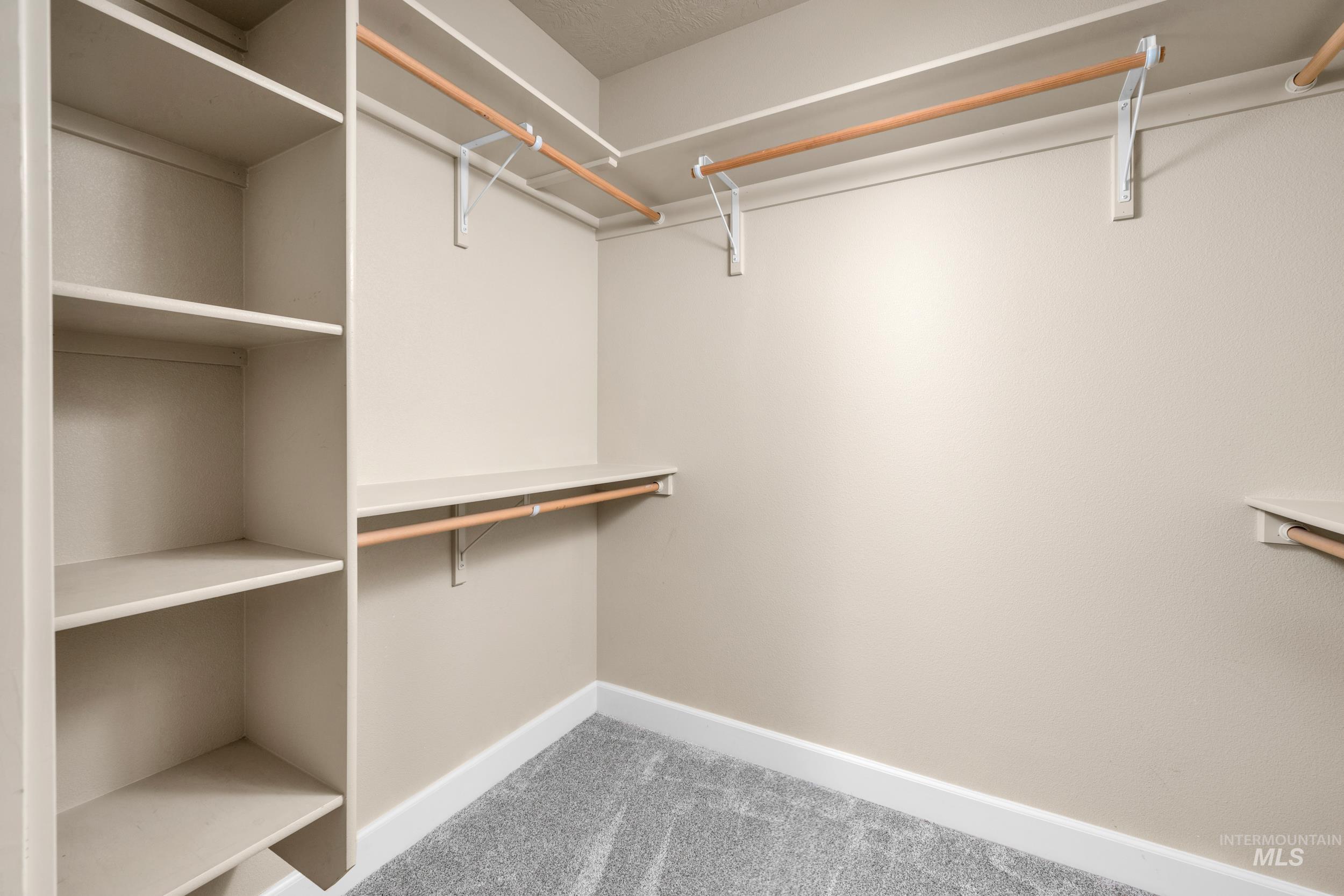Walk in closet with light colored carpet