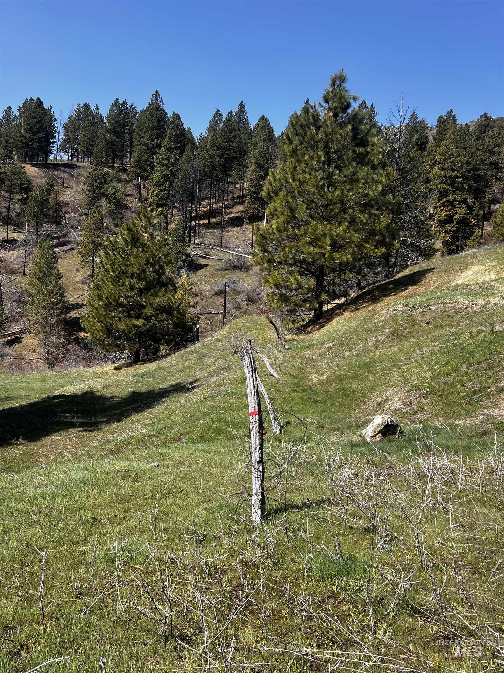 View of yard with a view of countryside