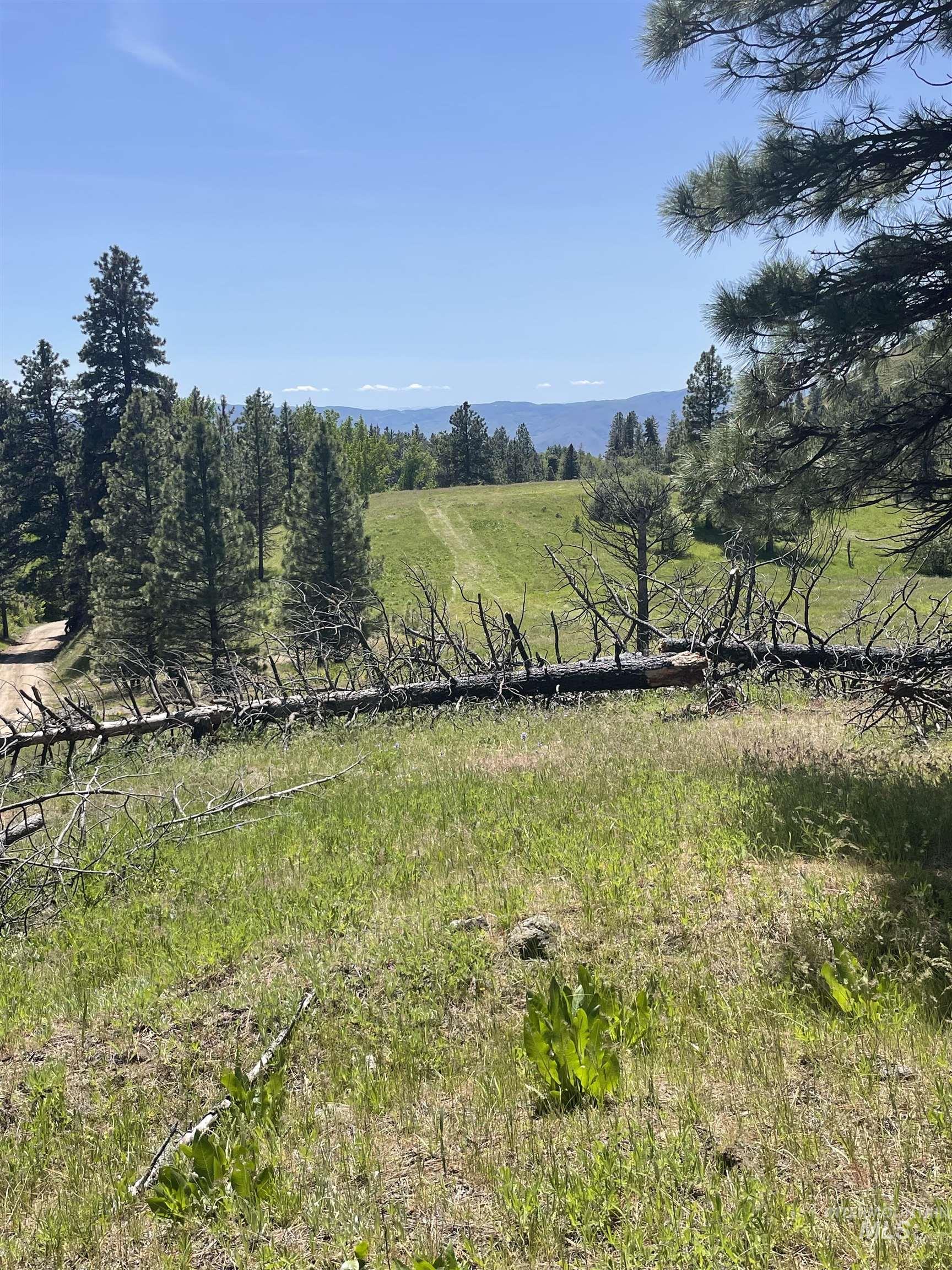 View of yard with a view of rural / pastoral area