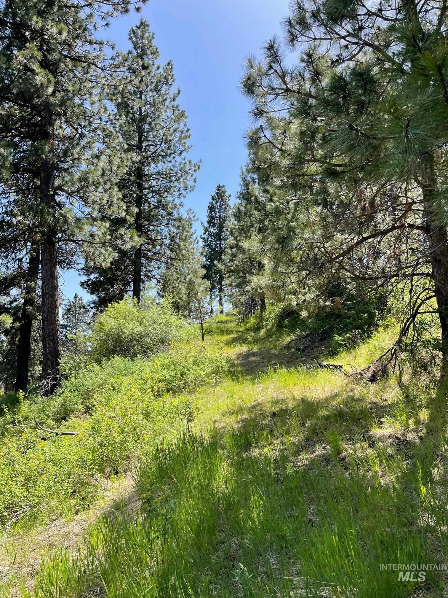 View of undeveloped land