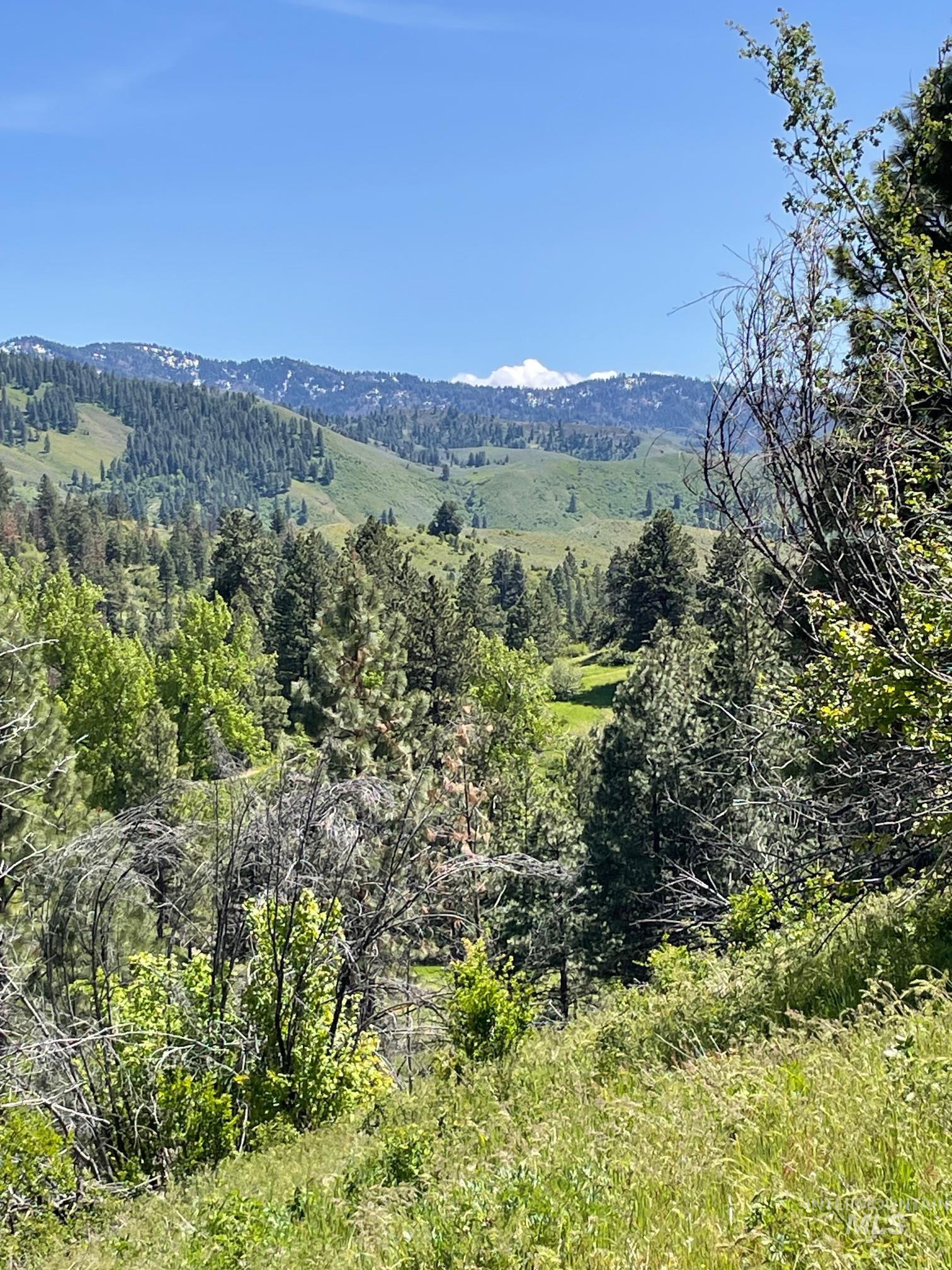 View of mountain background featuring a heavily wooded area