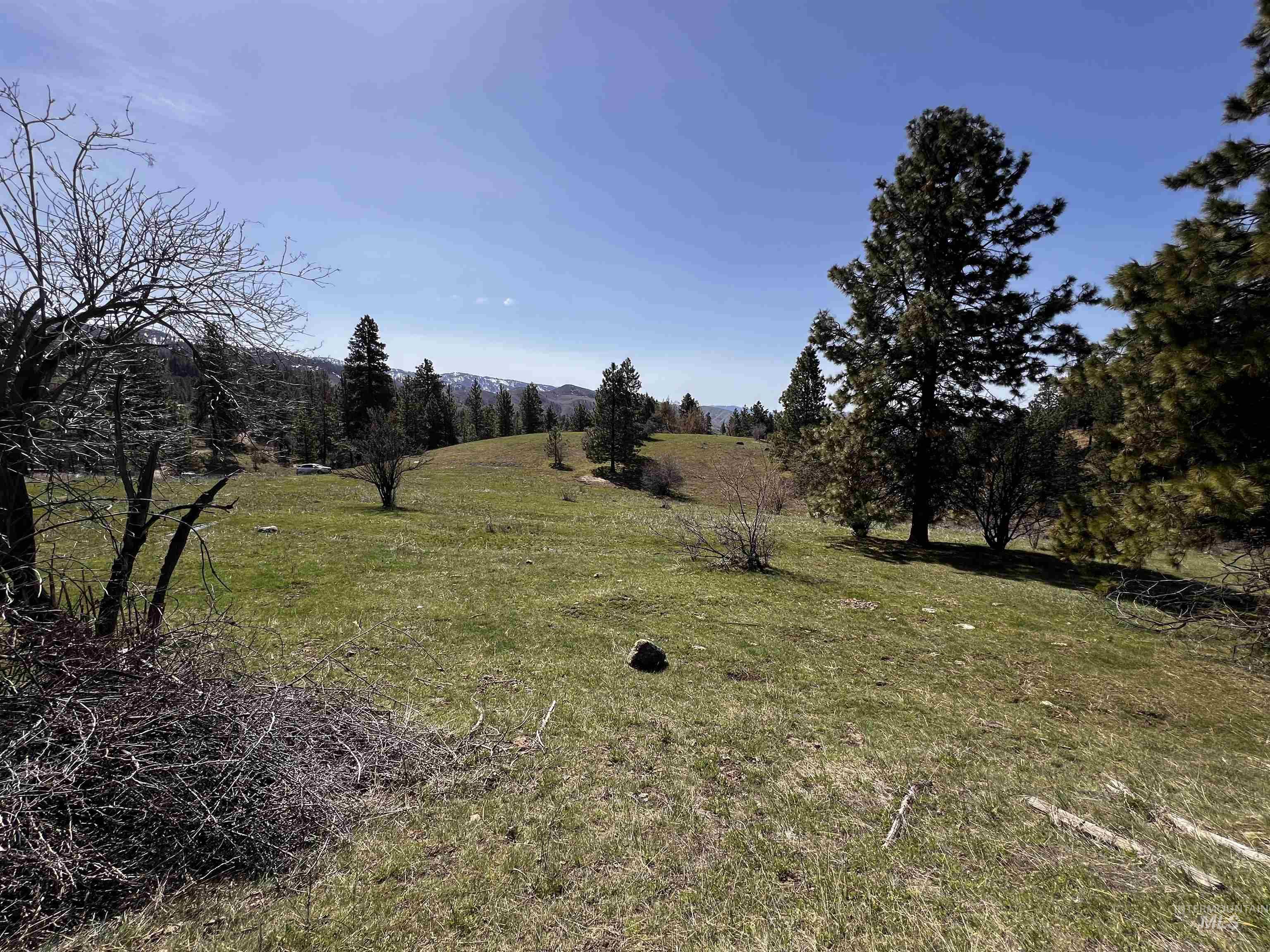 View of grassy yard featuring a view of rural / pastoral area