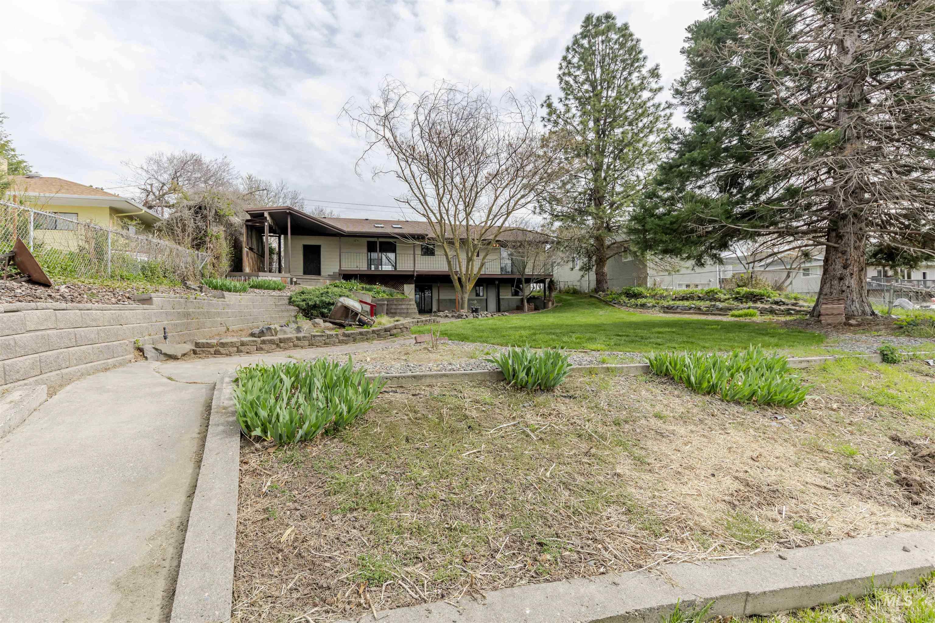 View of backyard and back of house