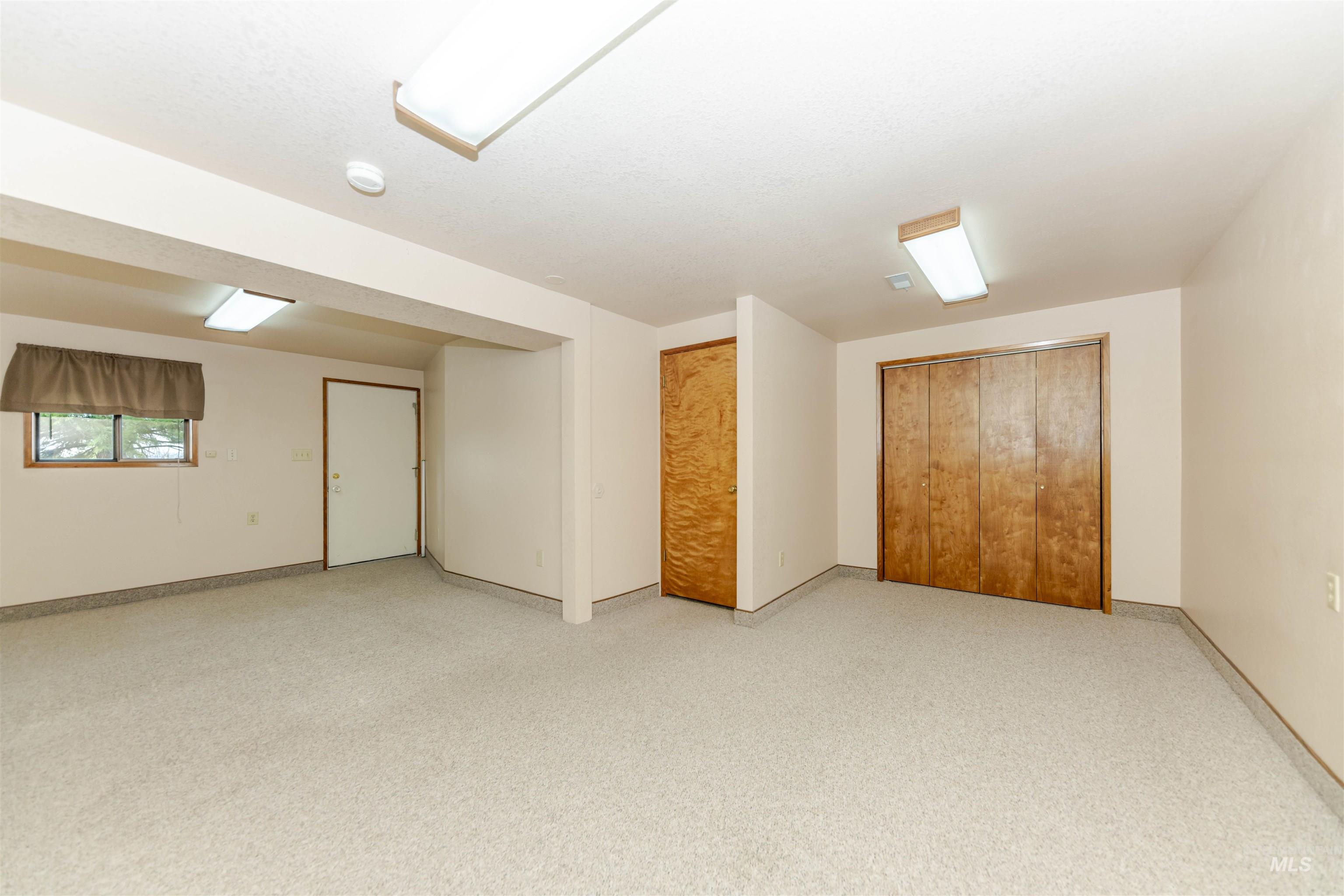 Large room in the basement with access to the backyard, with closet and carpet