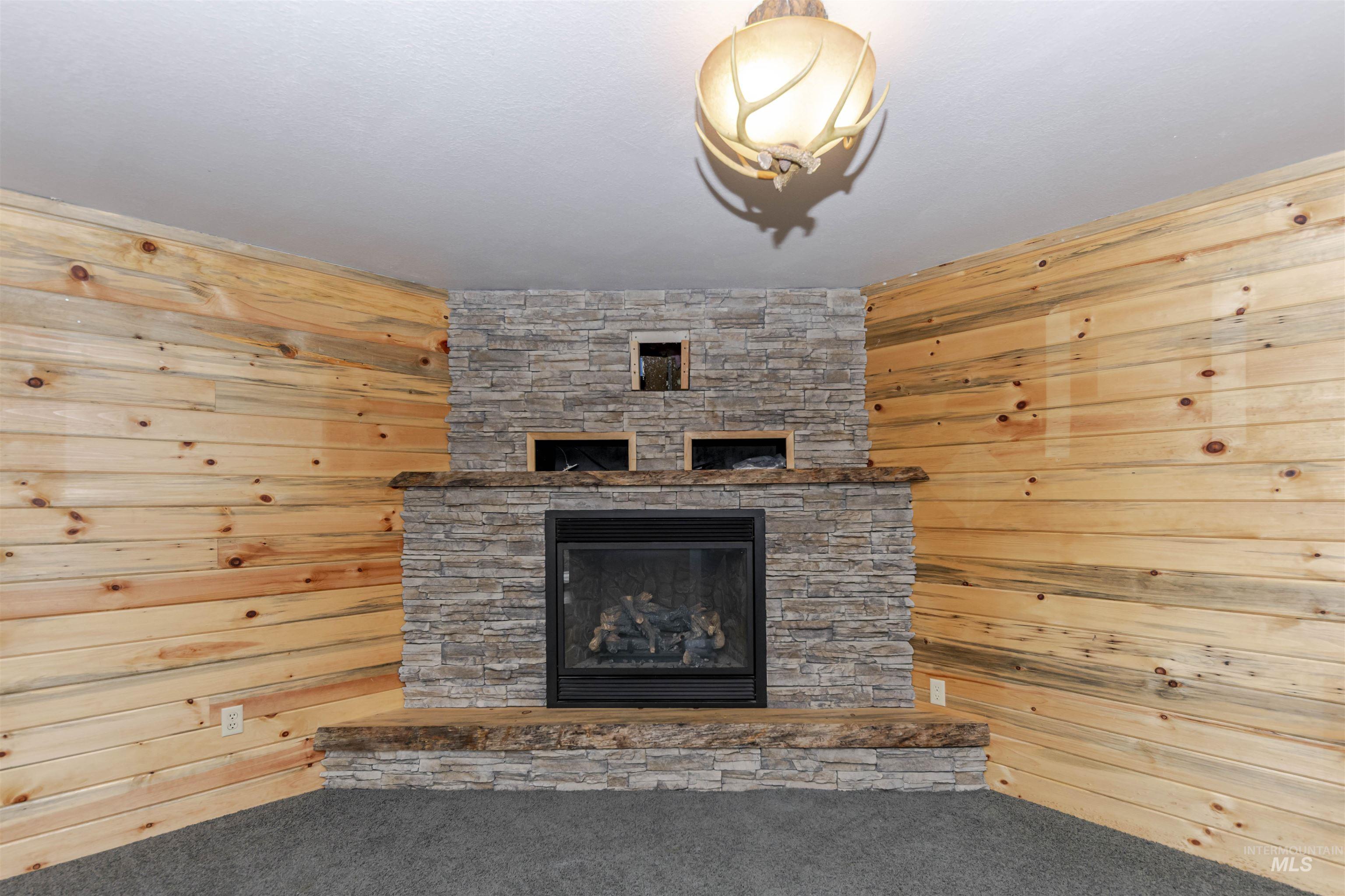 Family Room with carpet, a fireplace, and wooden walls in walkout basement