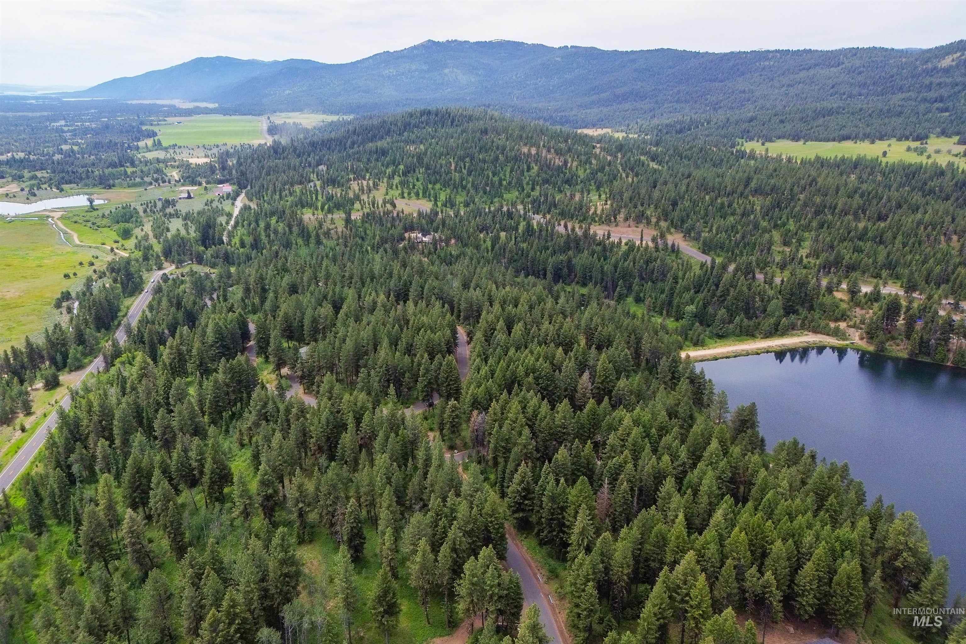Aerial view of a forest and a water and mountain view