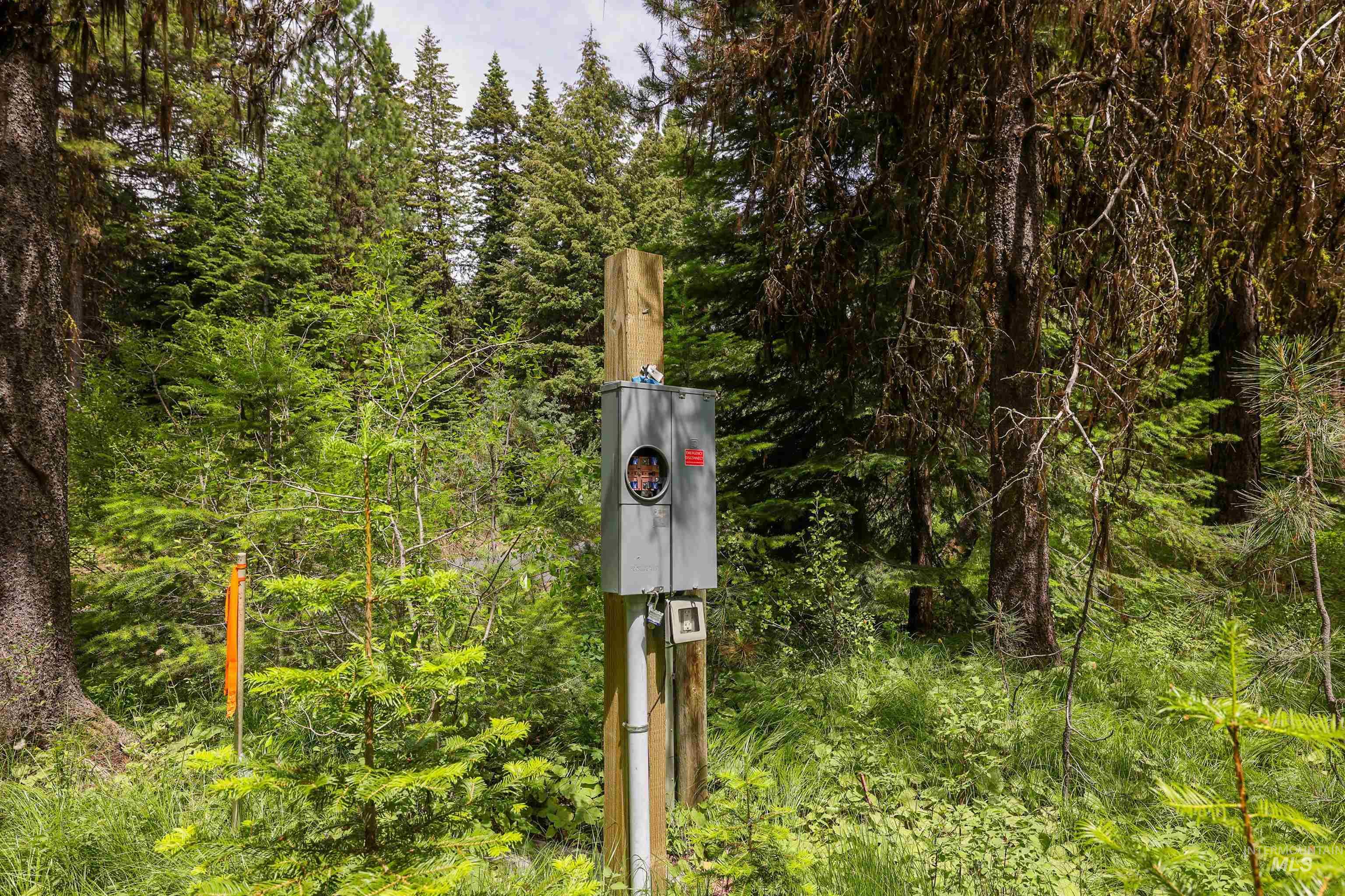 Exterior view of a forest