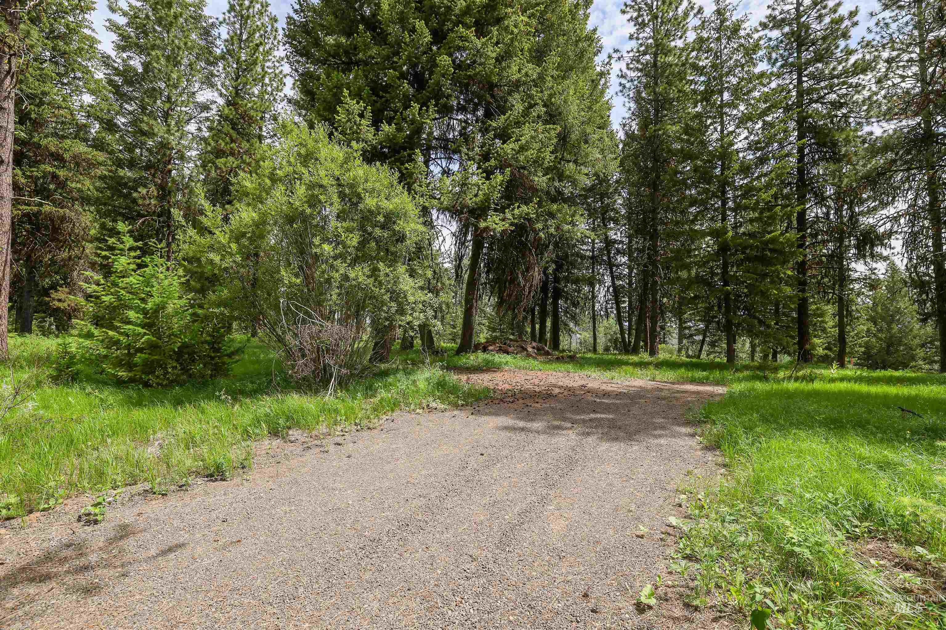 View of road with a forest view