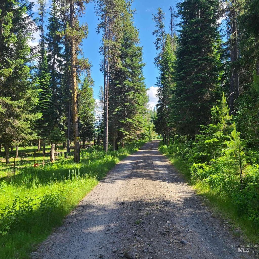 Photo of 1050 Maxwell Lane, Elk City, ID 83525 (MLS # 98989623)