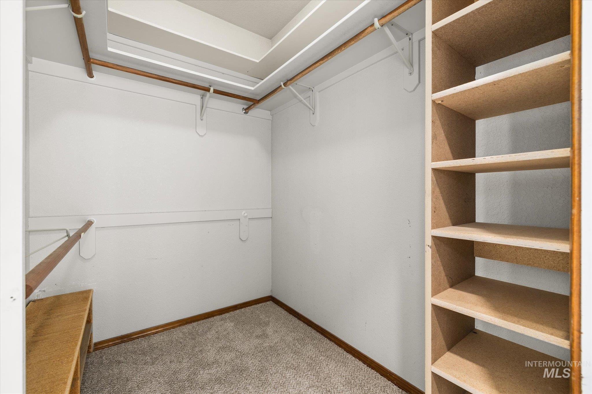 Spacious closet featuring light carpet
