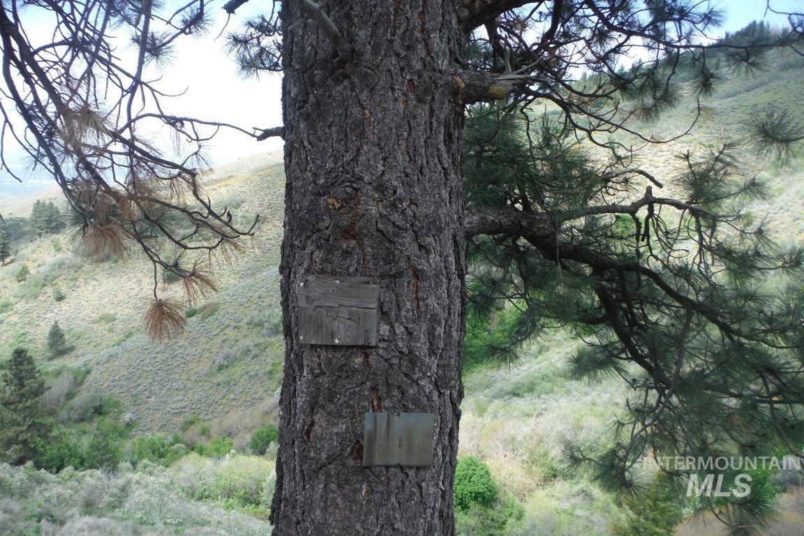 View of undeveloped land