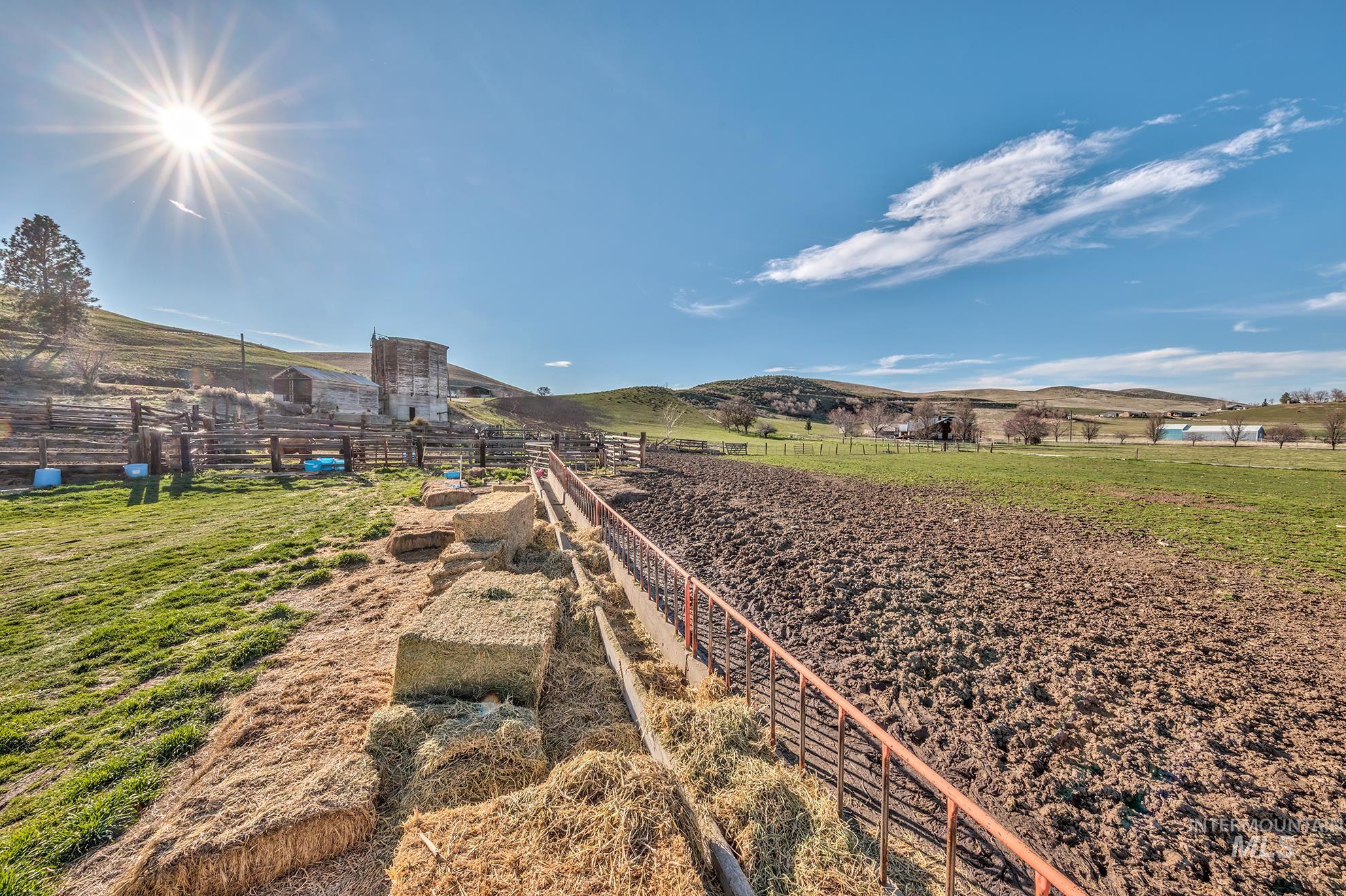 View of yard with a view of rural / pastoral area and a mountain view