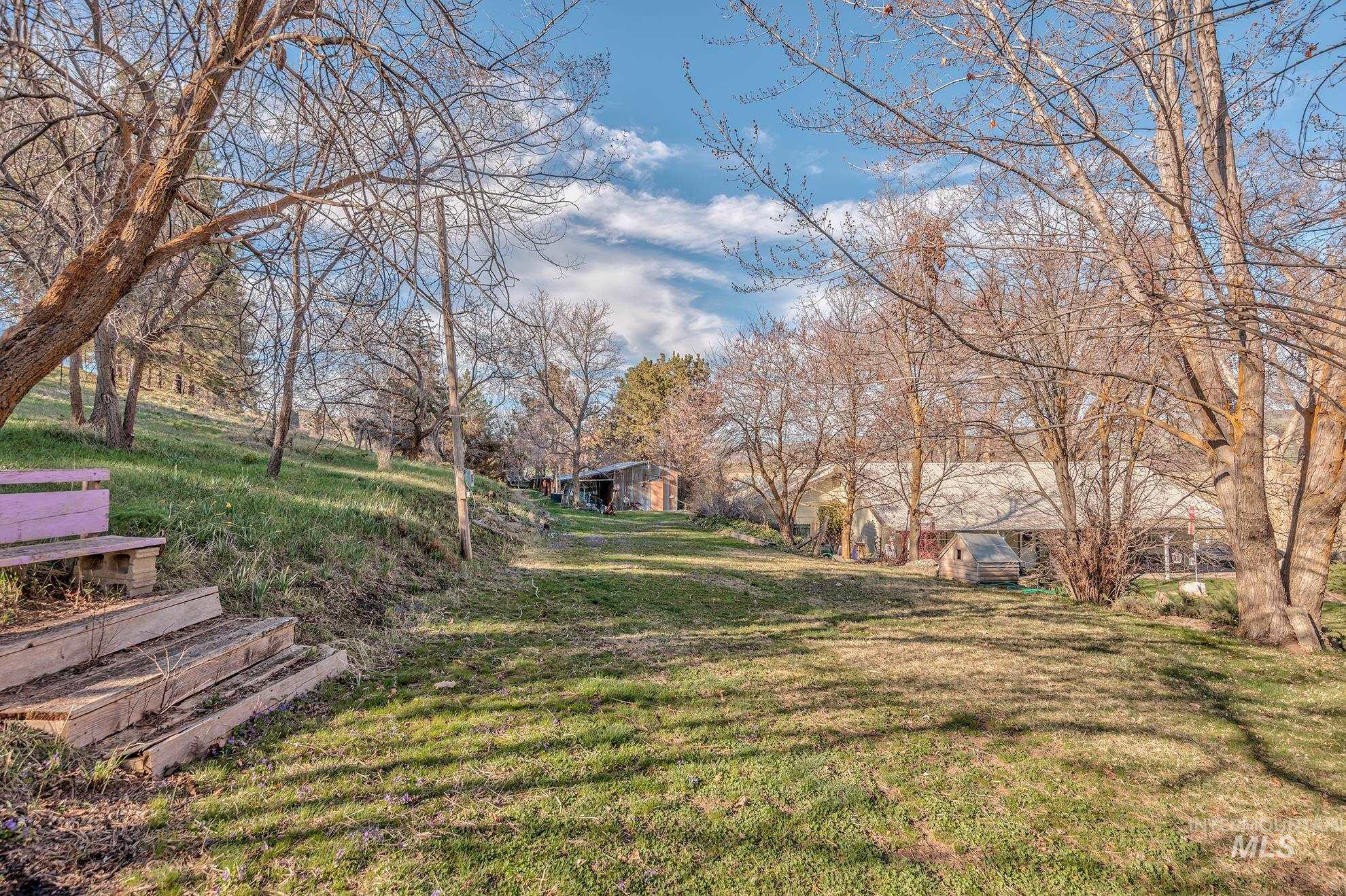 View of grassy yard