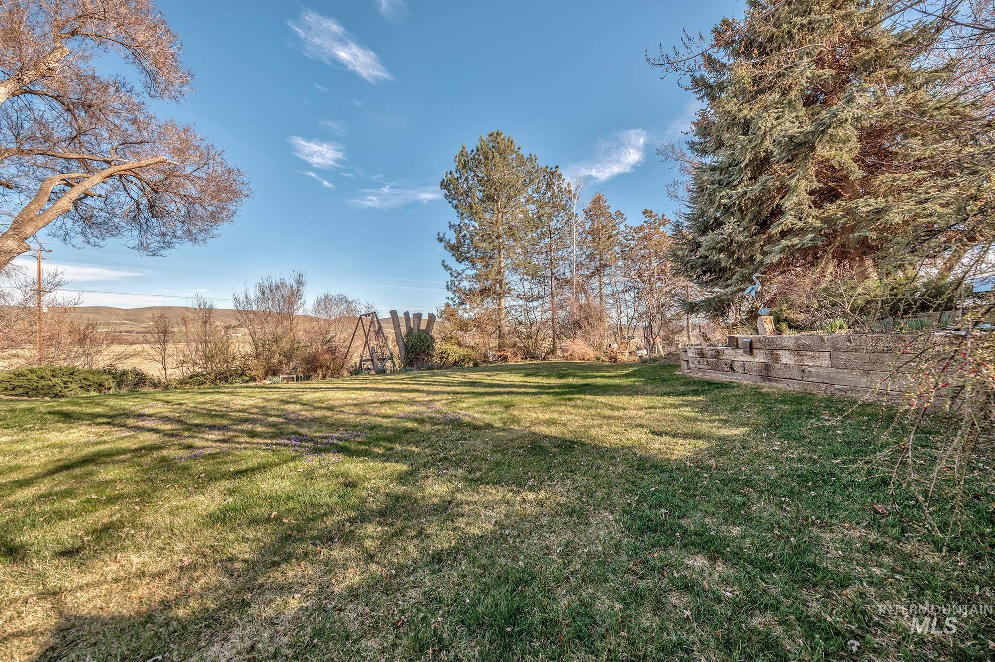 View of green lawn