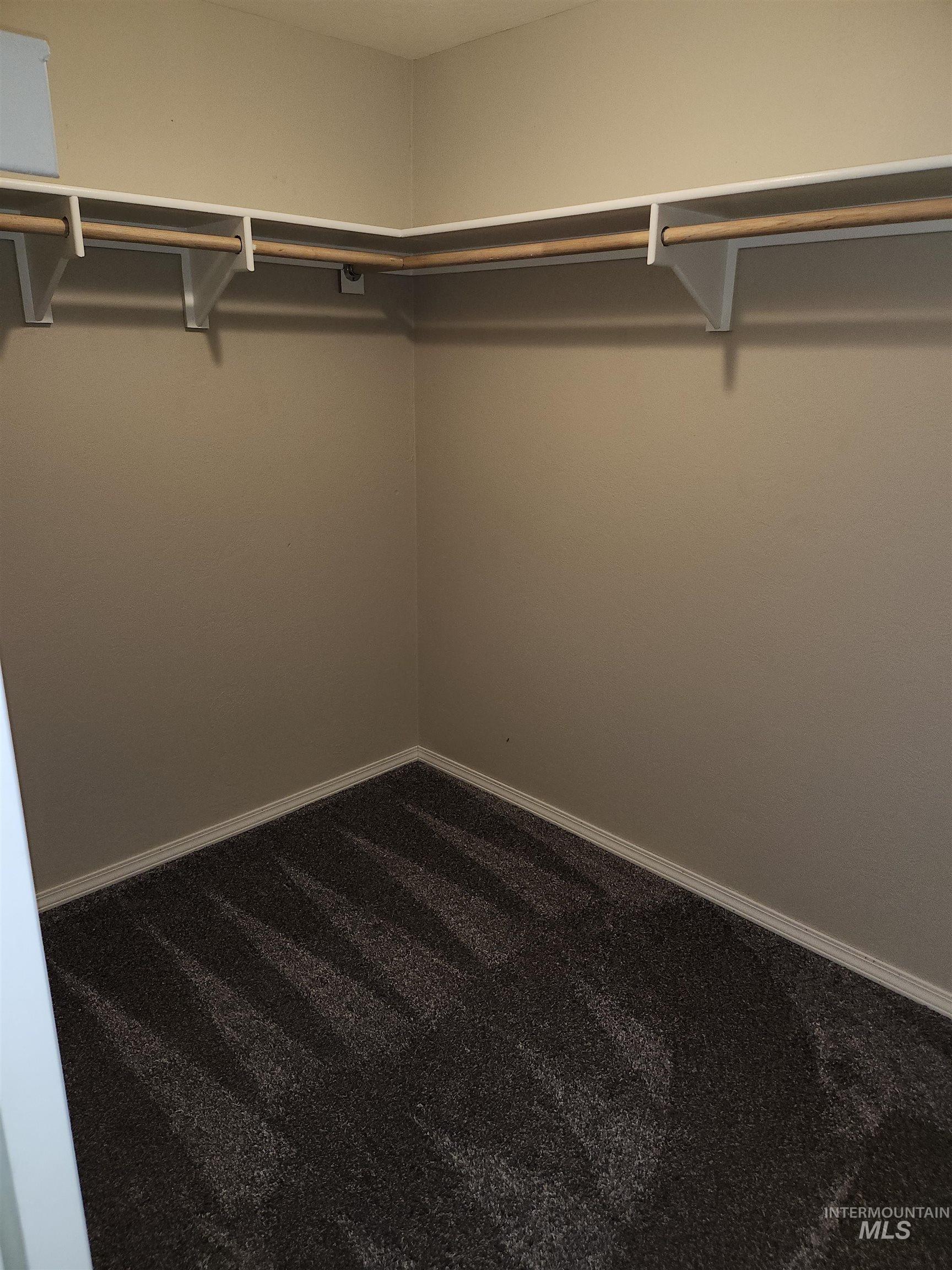 Spacious closet with dark carpet