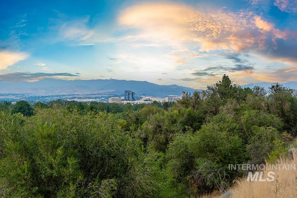 Photo of 3603 W Crescent Rim Dr, Boise, ID 83706 (MLS # 98996571)