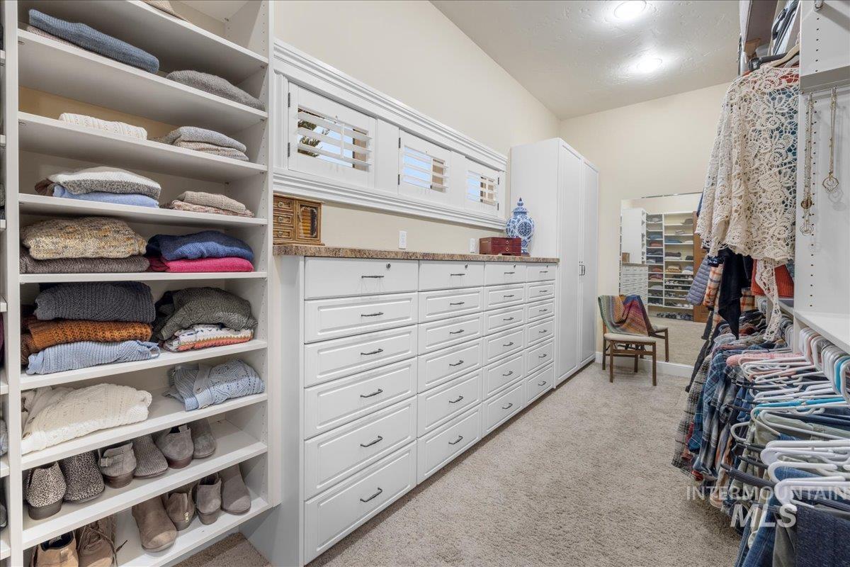 Spacious closet featuring light carpet