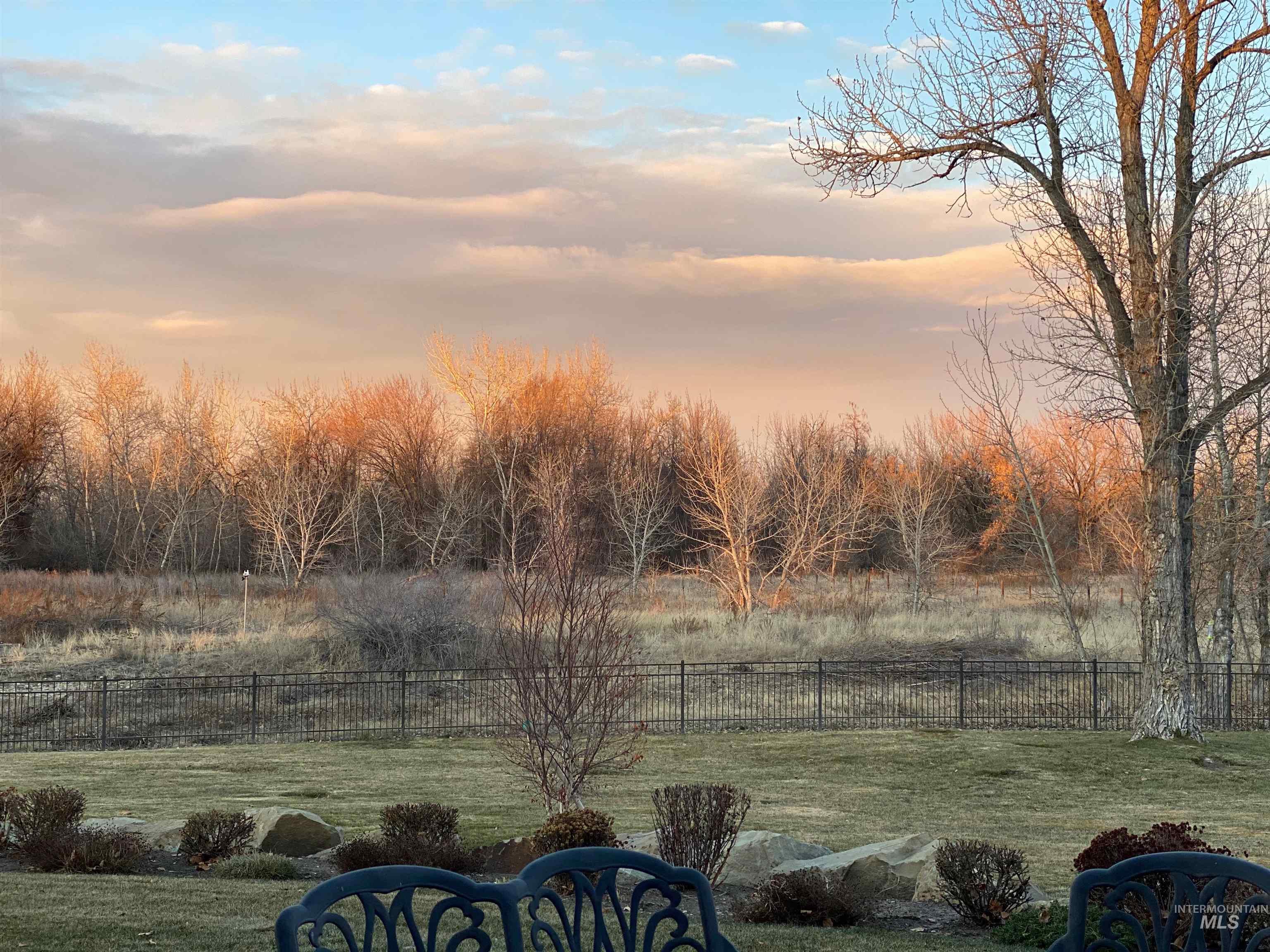 View of yard at dusk