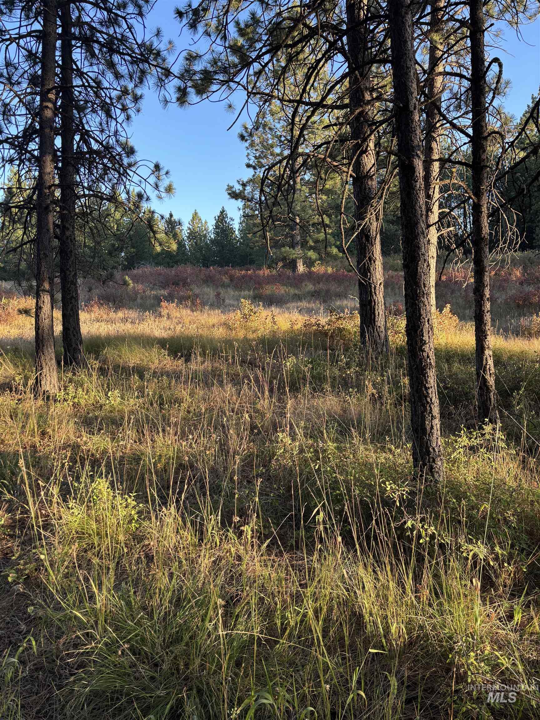 TBD Harlow Ridge Rd - Cloverland Estates 26