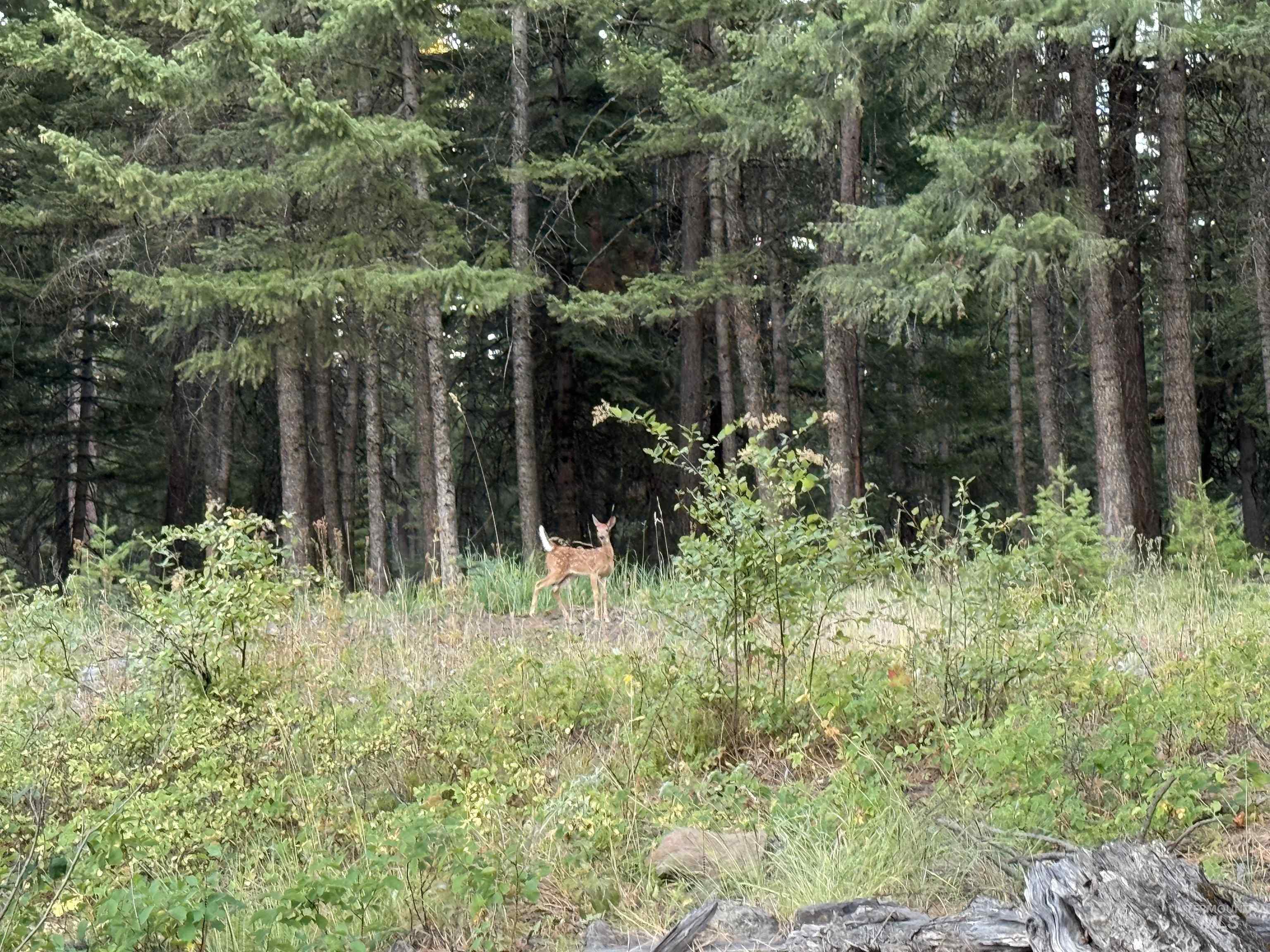 TBD Harlow Ridge Rd - Cloverland Estates 26