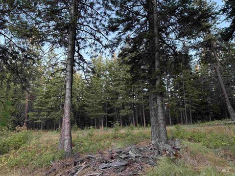 TBD Harlow Ridge Rd - Cloverland Estates 26 Asotin WA 99402