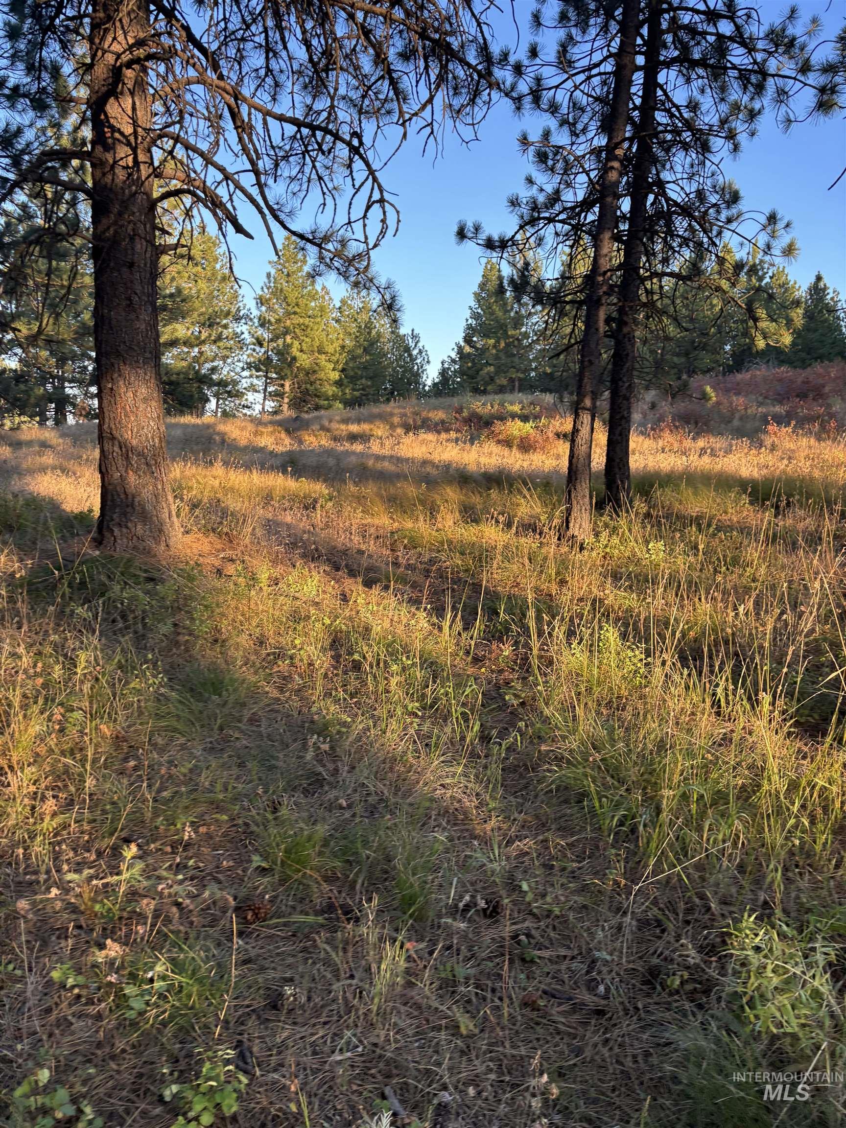 TBD Harlow Ridge Rd - Cloverland Estates 26