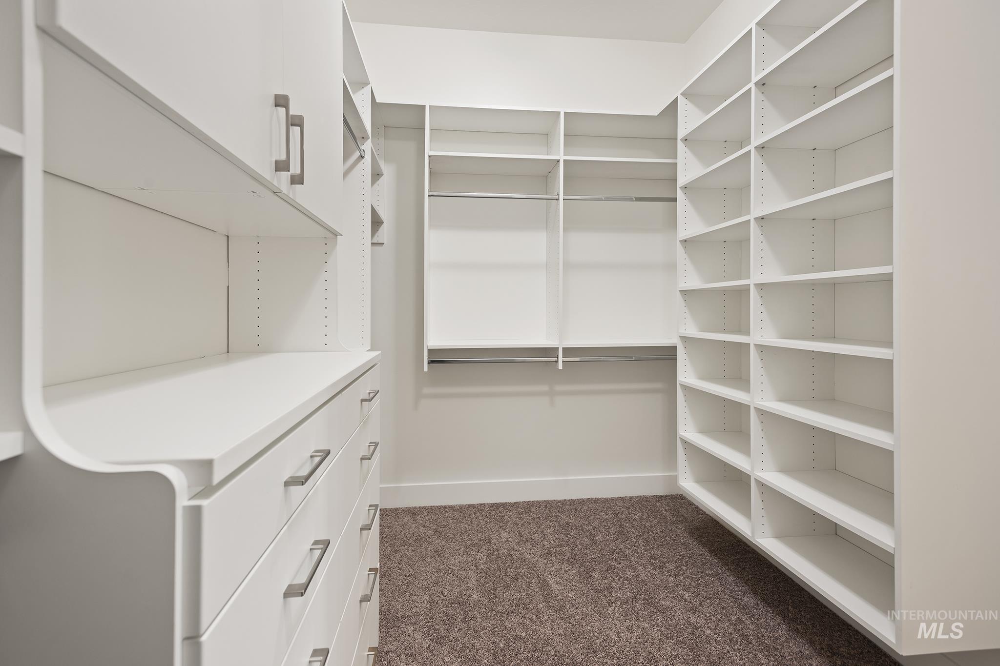 Spacious closet with dark colored carpet