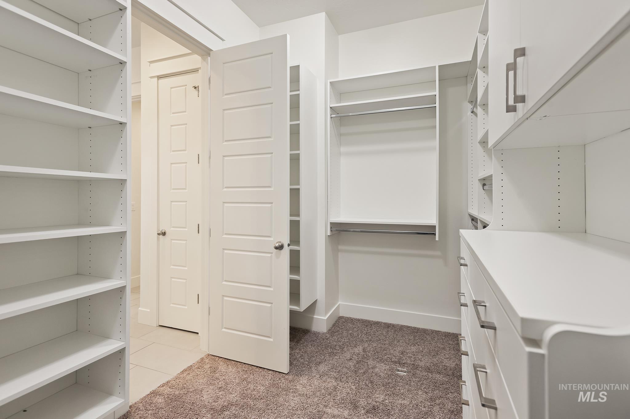 Walk in closet with light colored carpet