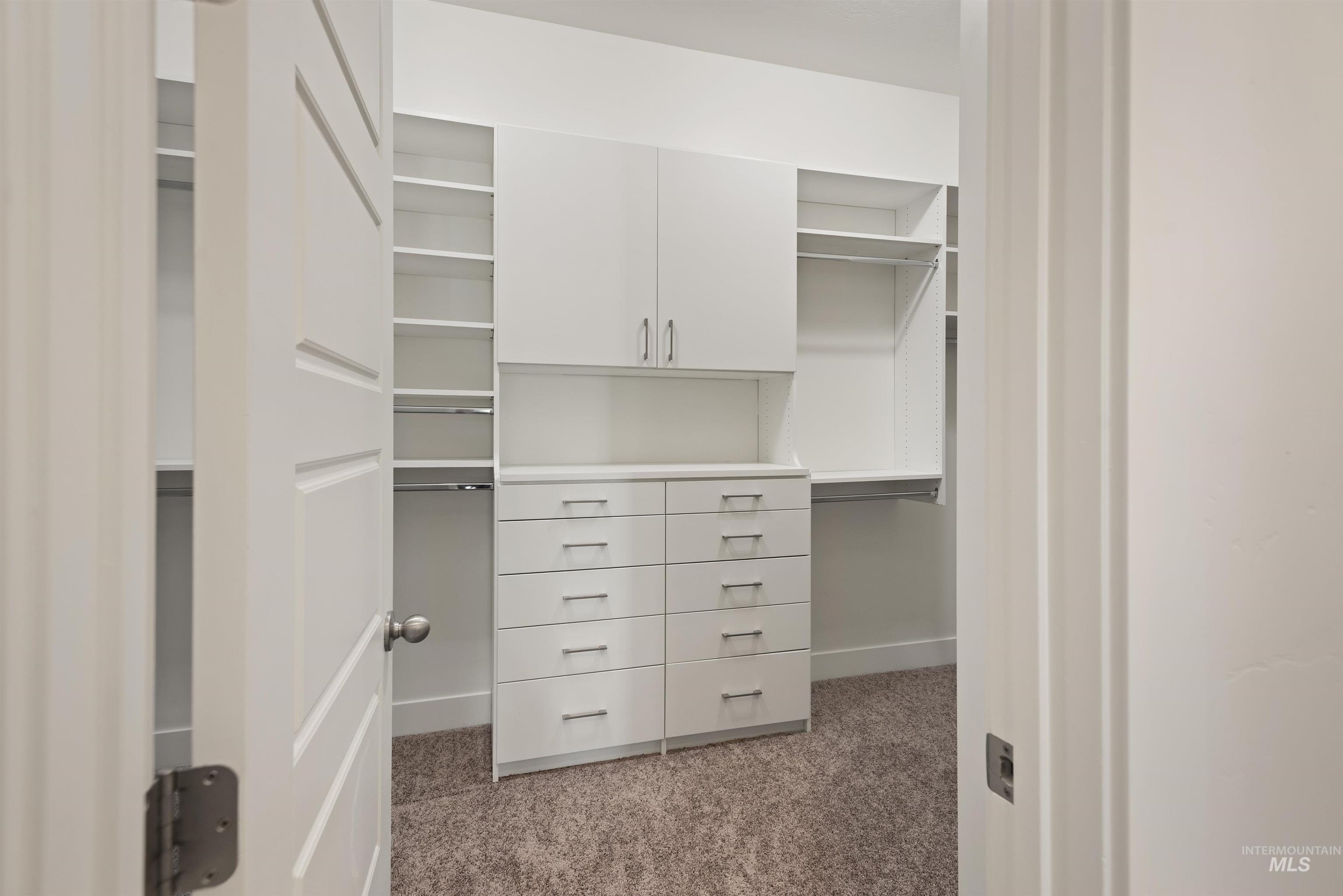 Walk in closet with light colored carpet