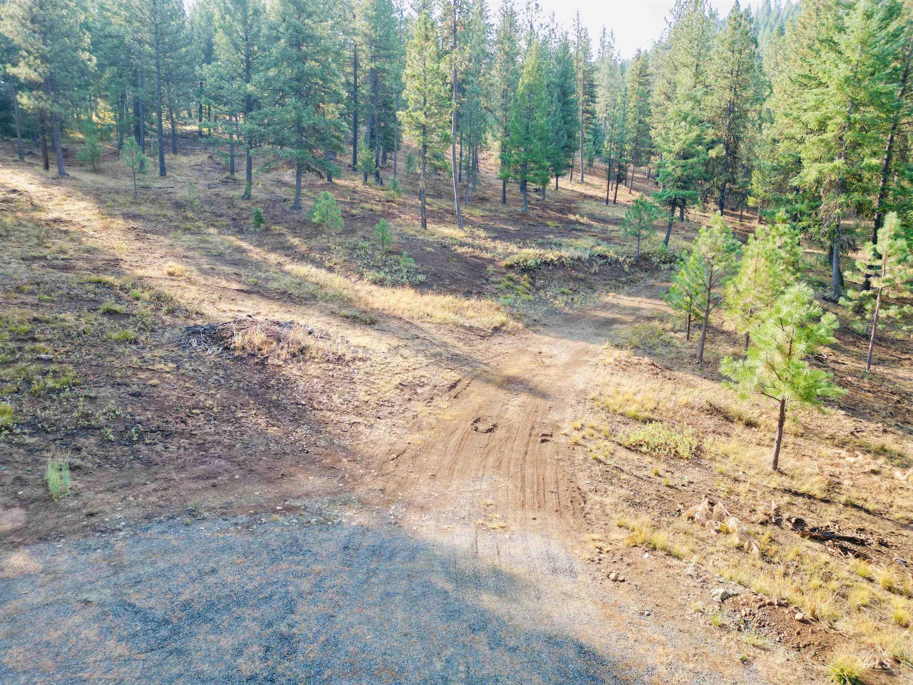 View of dirt / gravel road