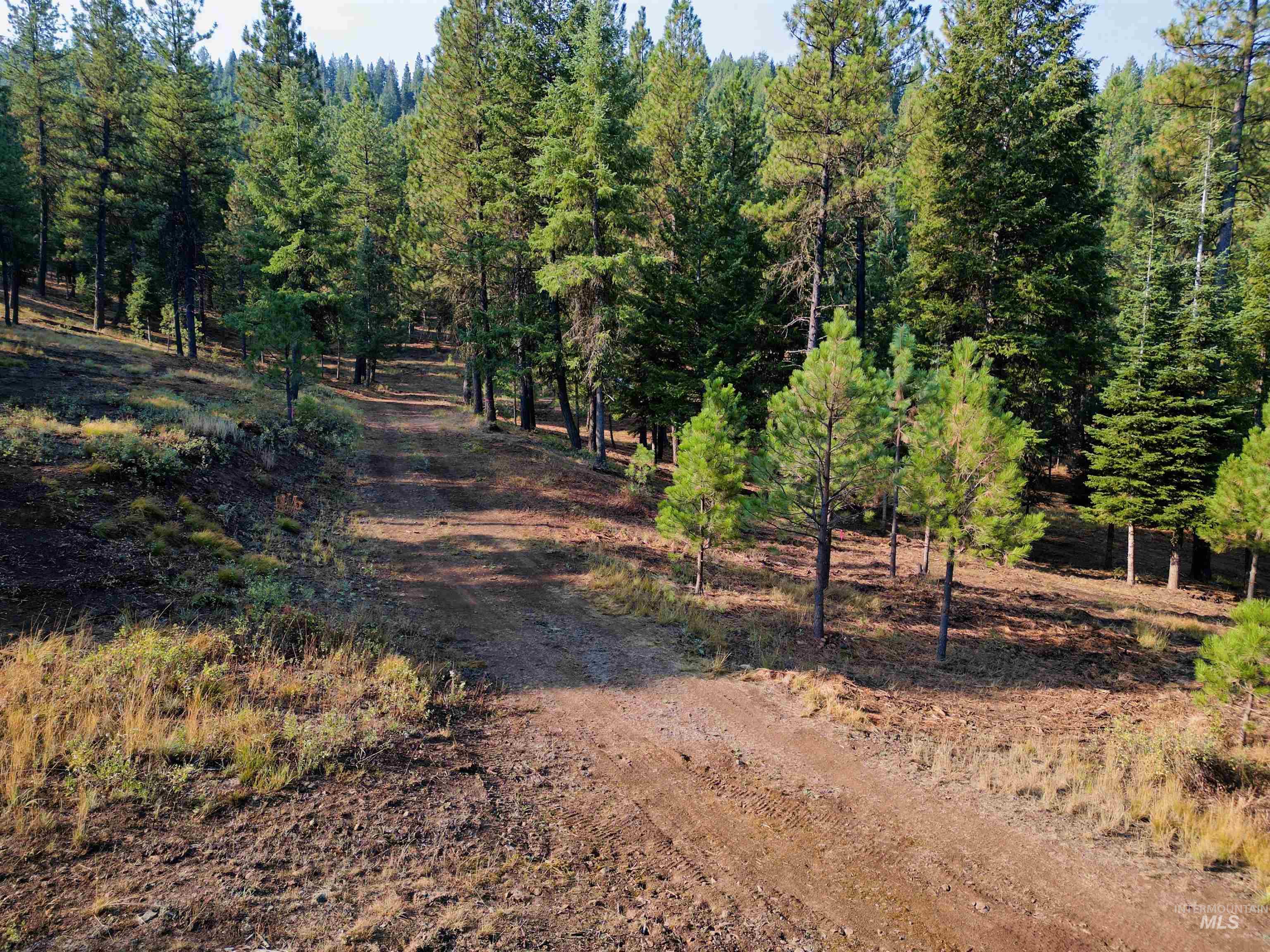 View of dirt / gravel road