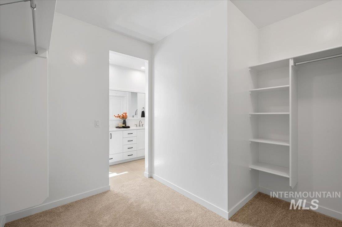 Walk in closet featuring light colored carpet