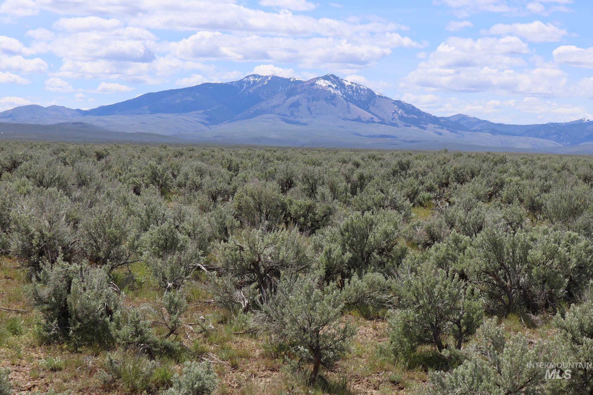 TBD Willow Creek Road, Ironside, Oregon image 16