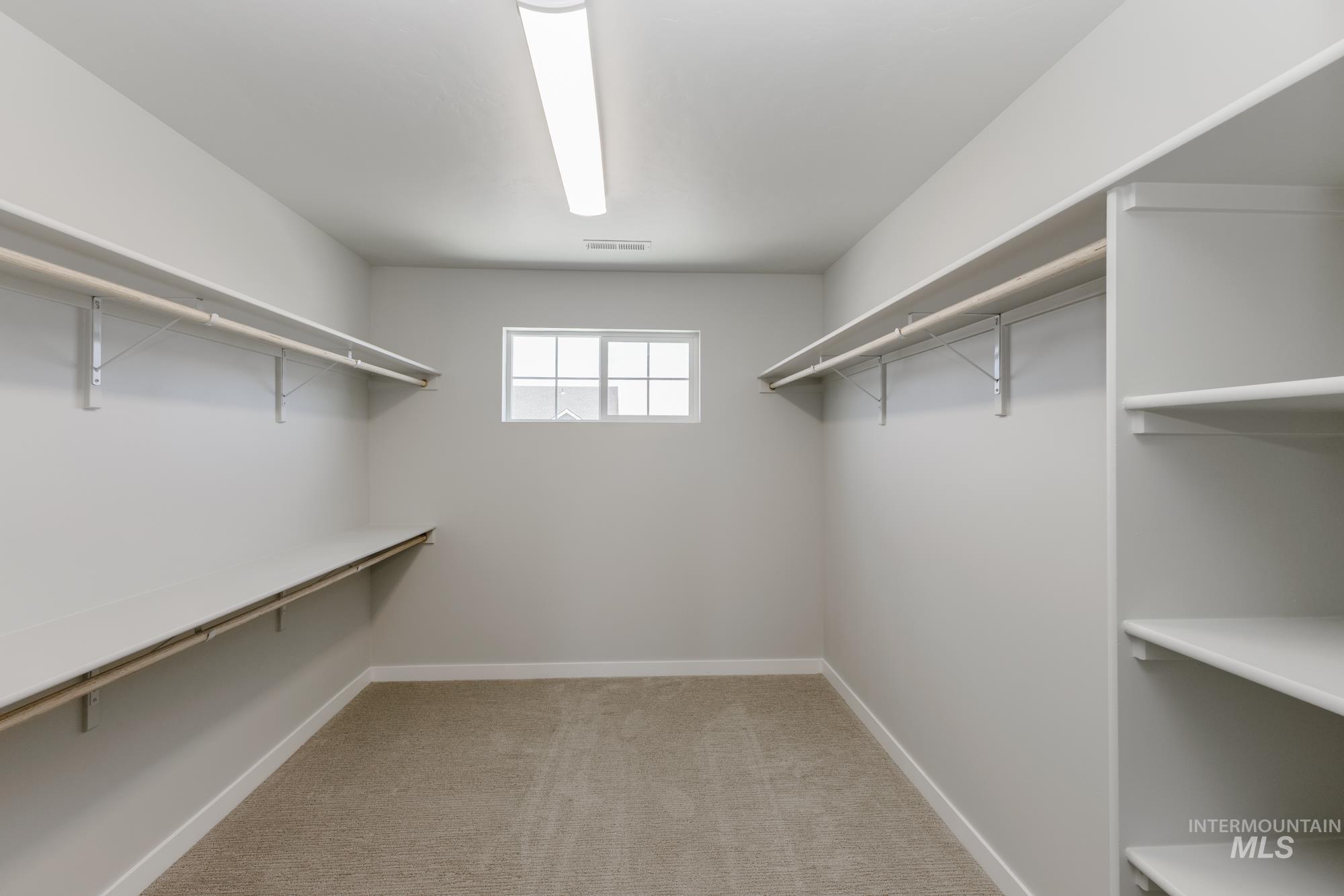 Walk in closet featuring carpet floors