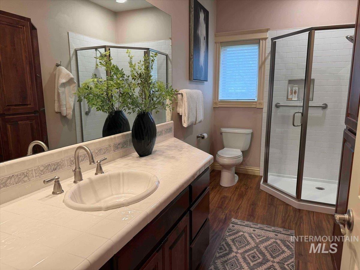 Bathroom featuring vanity, a stall shower, and dark wood-style floors