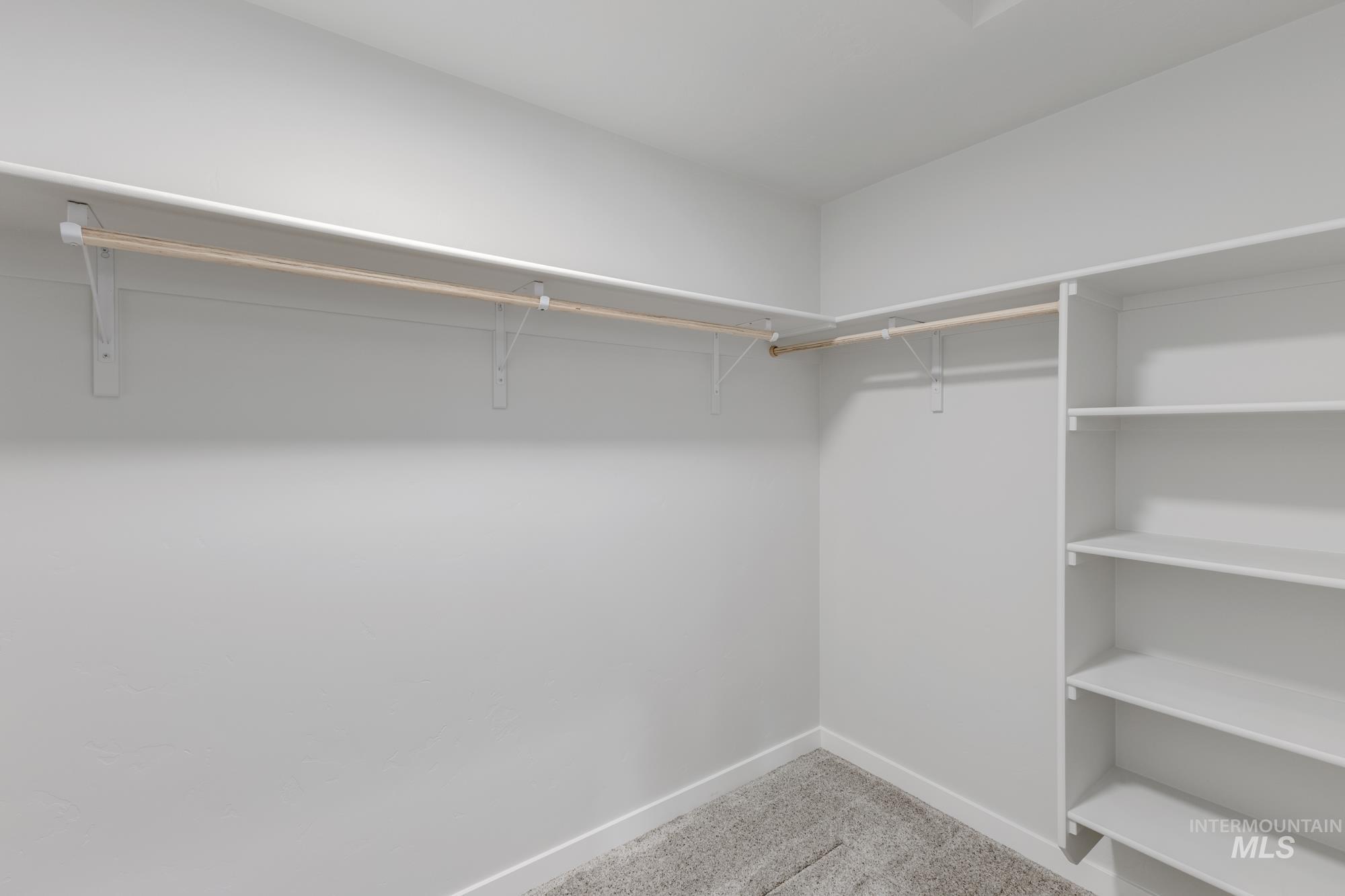 Spacious closet with light carpet