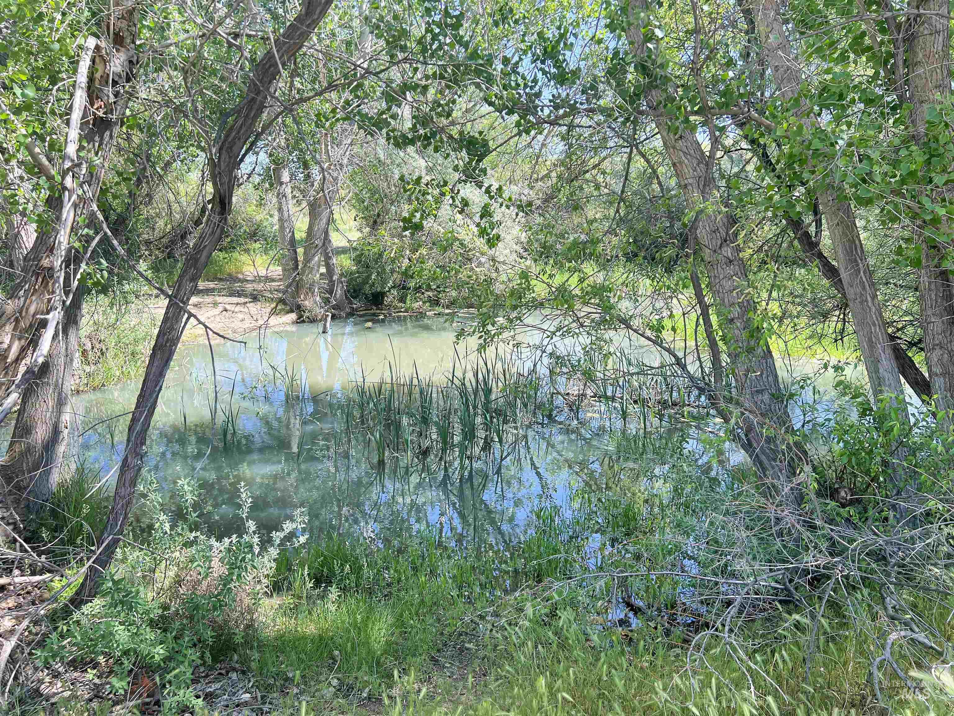 830 Snively Gulch Rd