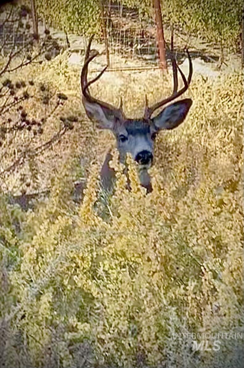 Adrian, Oregon 97901, United States, ,Residential,Active,184766