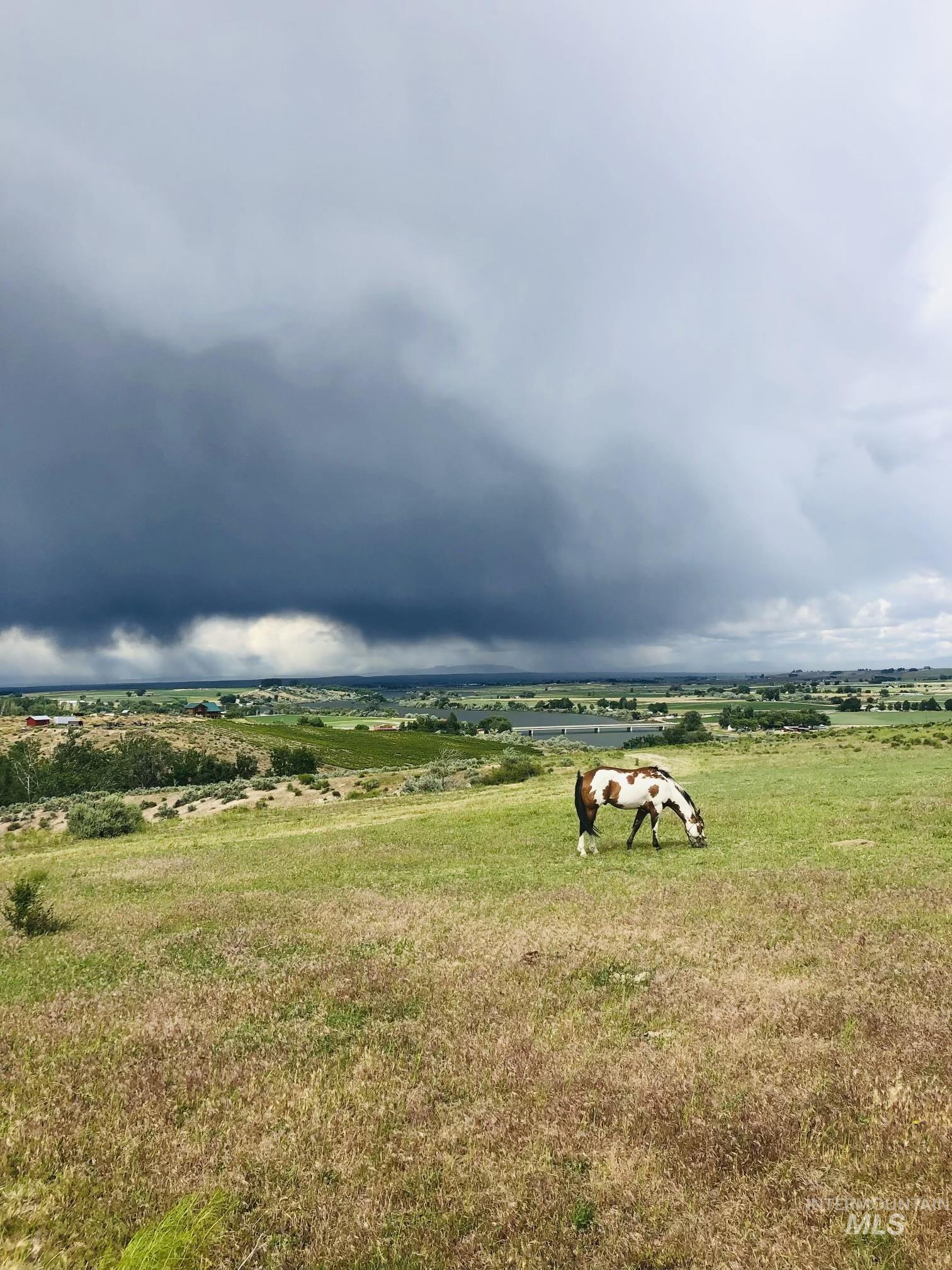 Adrian, Oregon 97901, United States, ,Residential,Active,184766