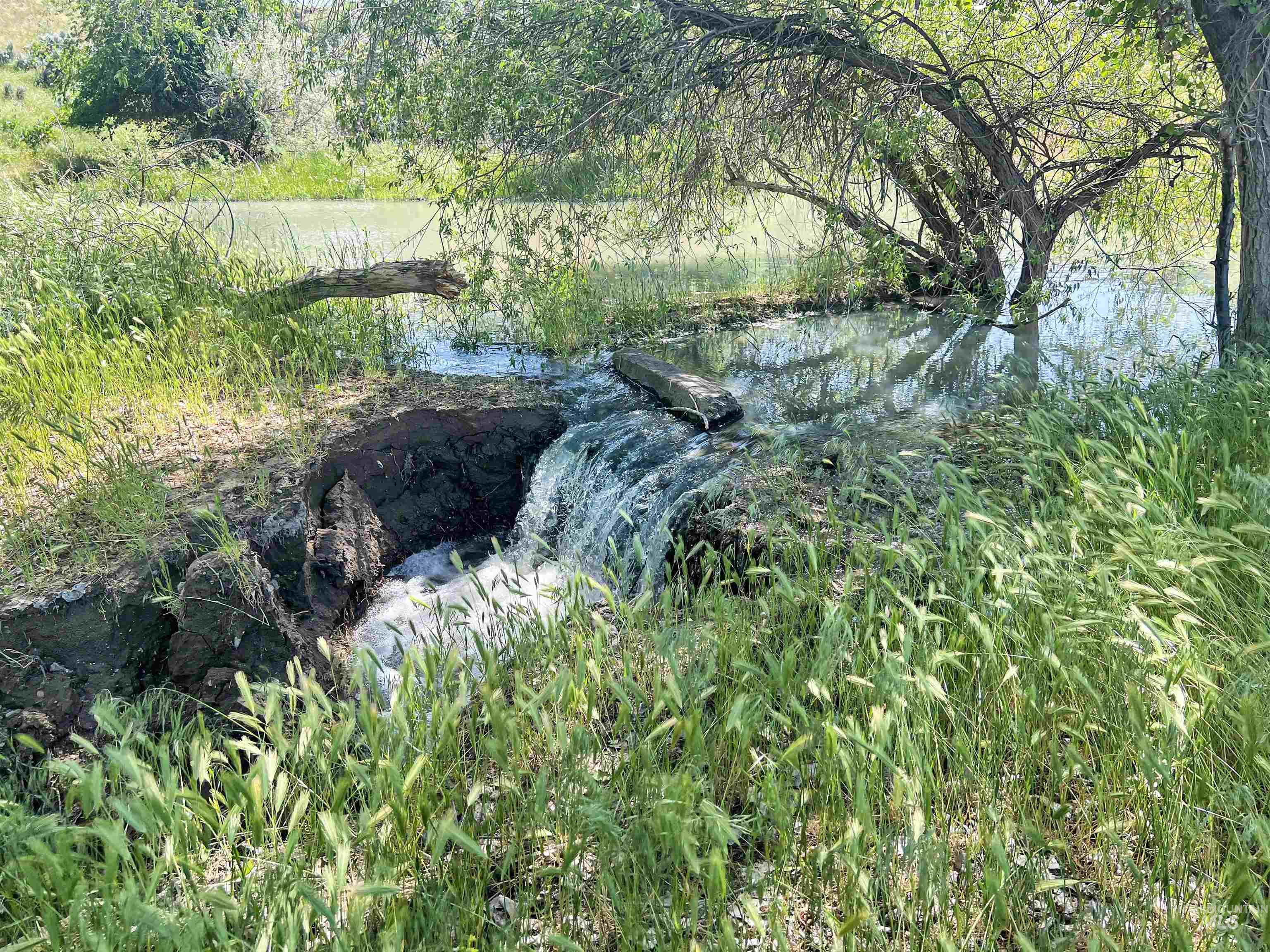 Adrian, Oregon 97901, United States, ,Residential,Active,184766