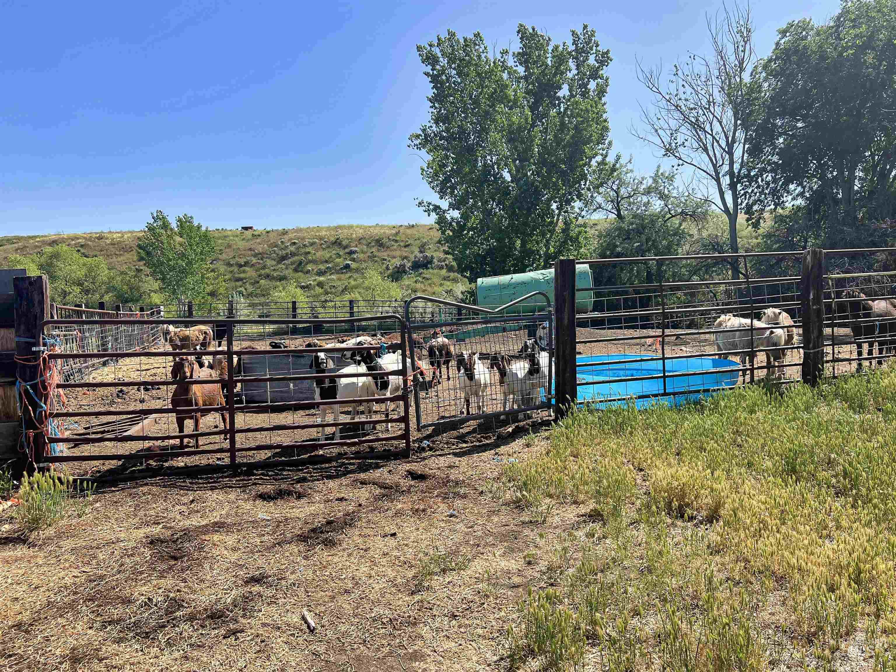 Adrian, Oregon 97901, United States, ,Residential,Active,184766