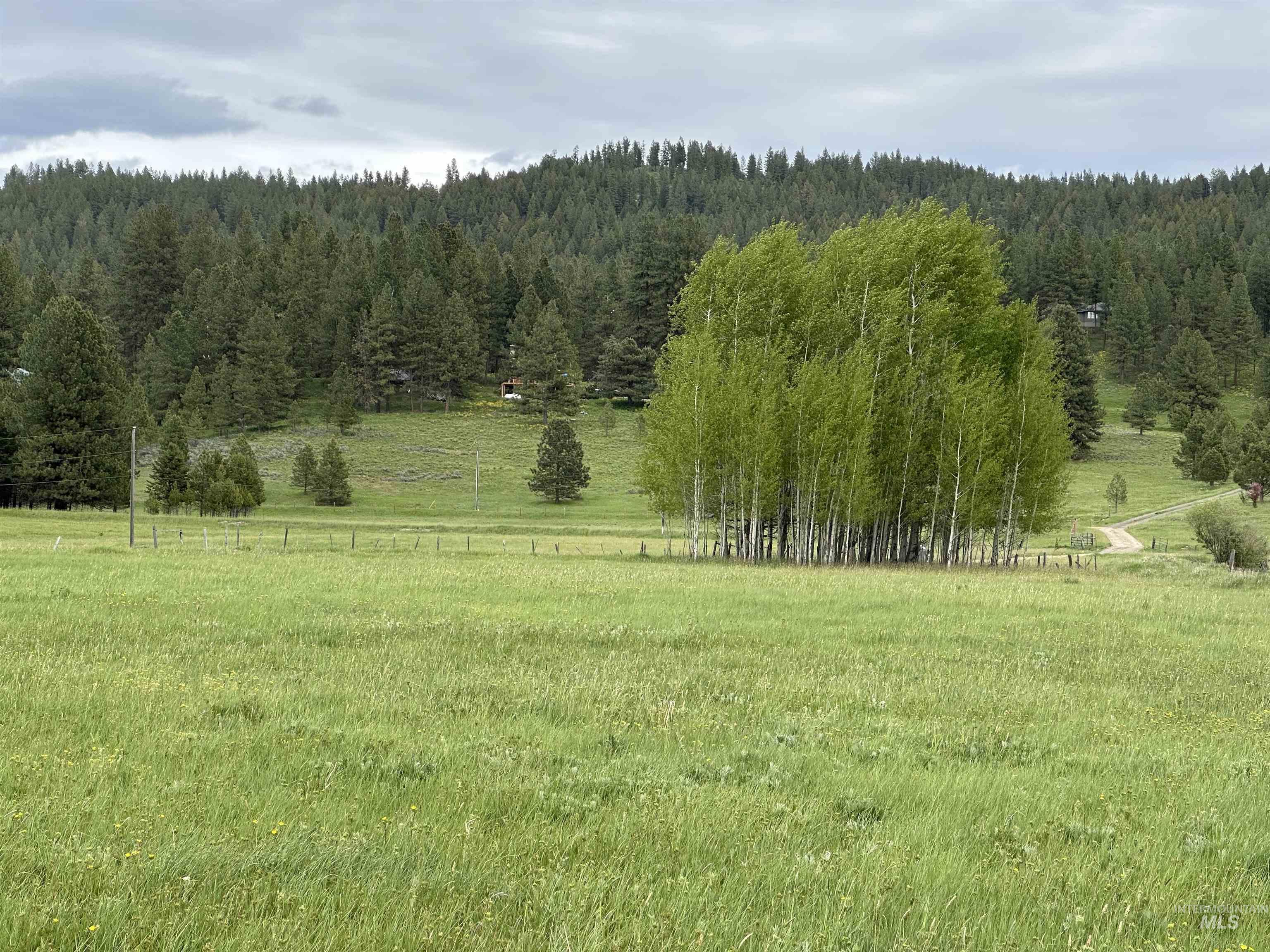 View of yard featuring a view of trees and a rural view