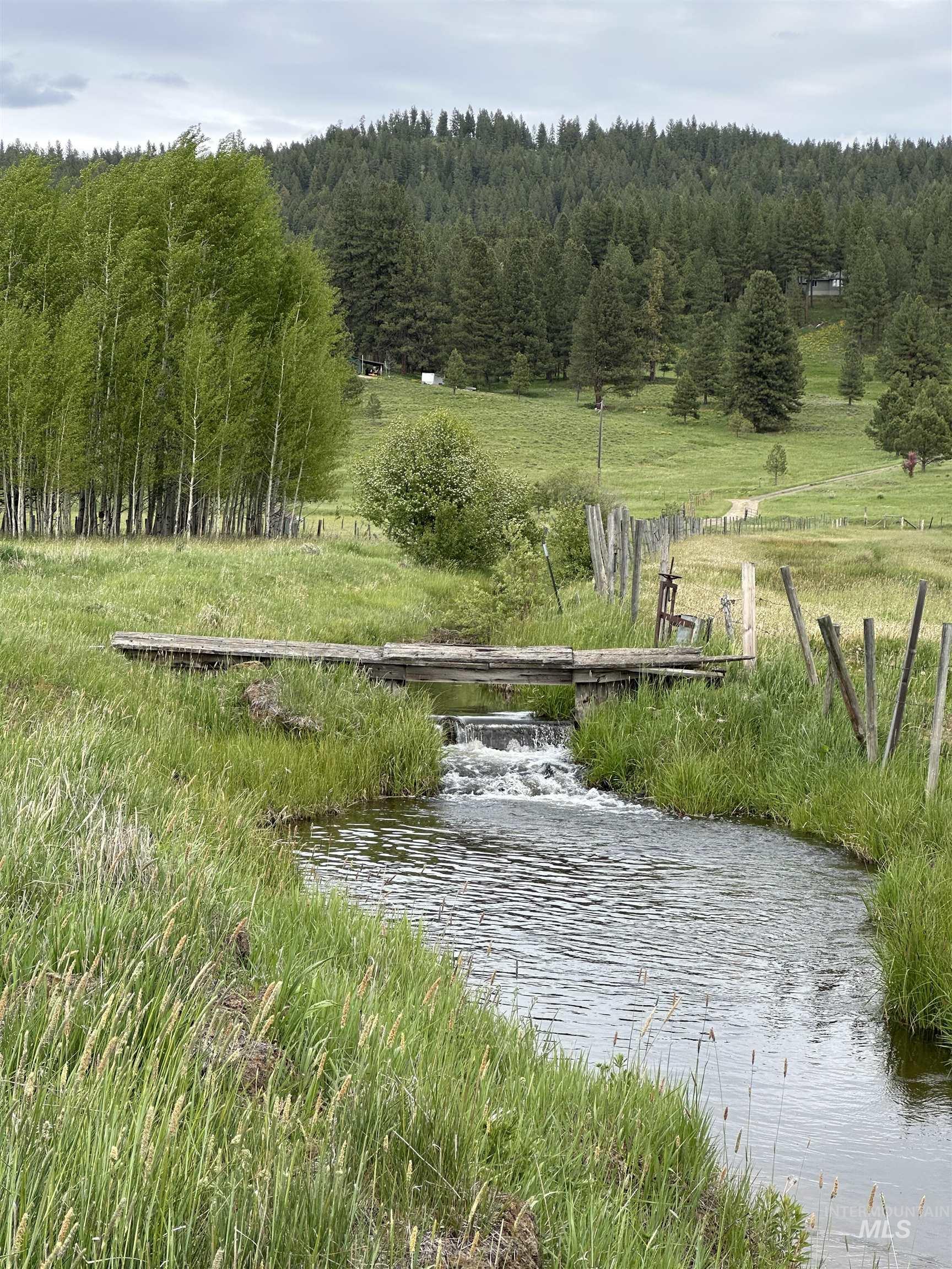 View of community featuring a view of trees and a water view