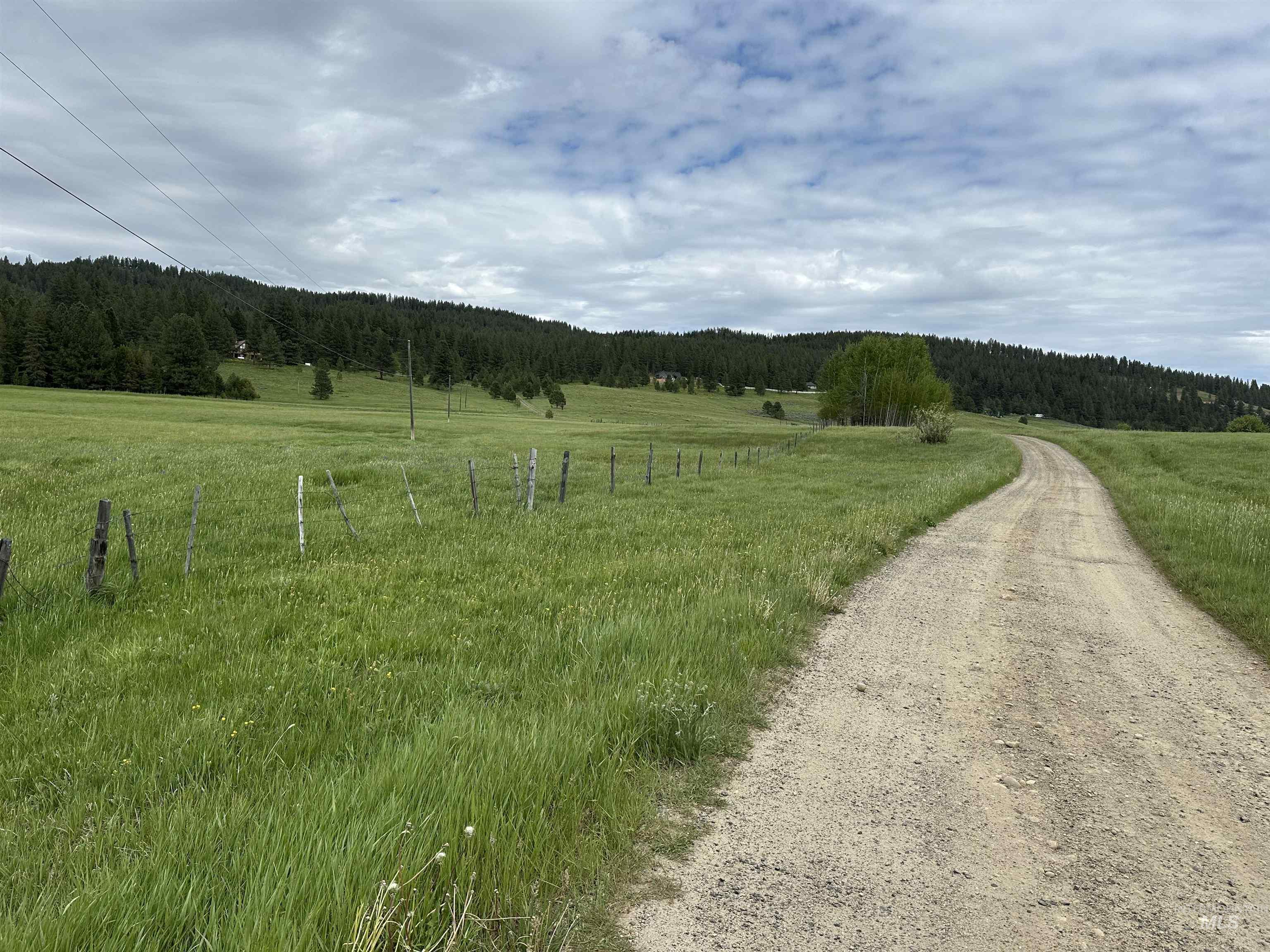 View of dirt / gravel road featuring a view of trees and a view of countryside