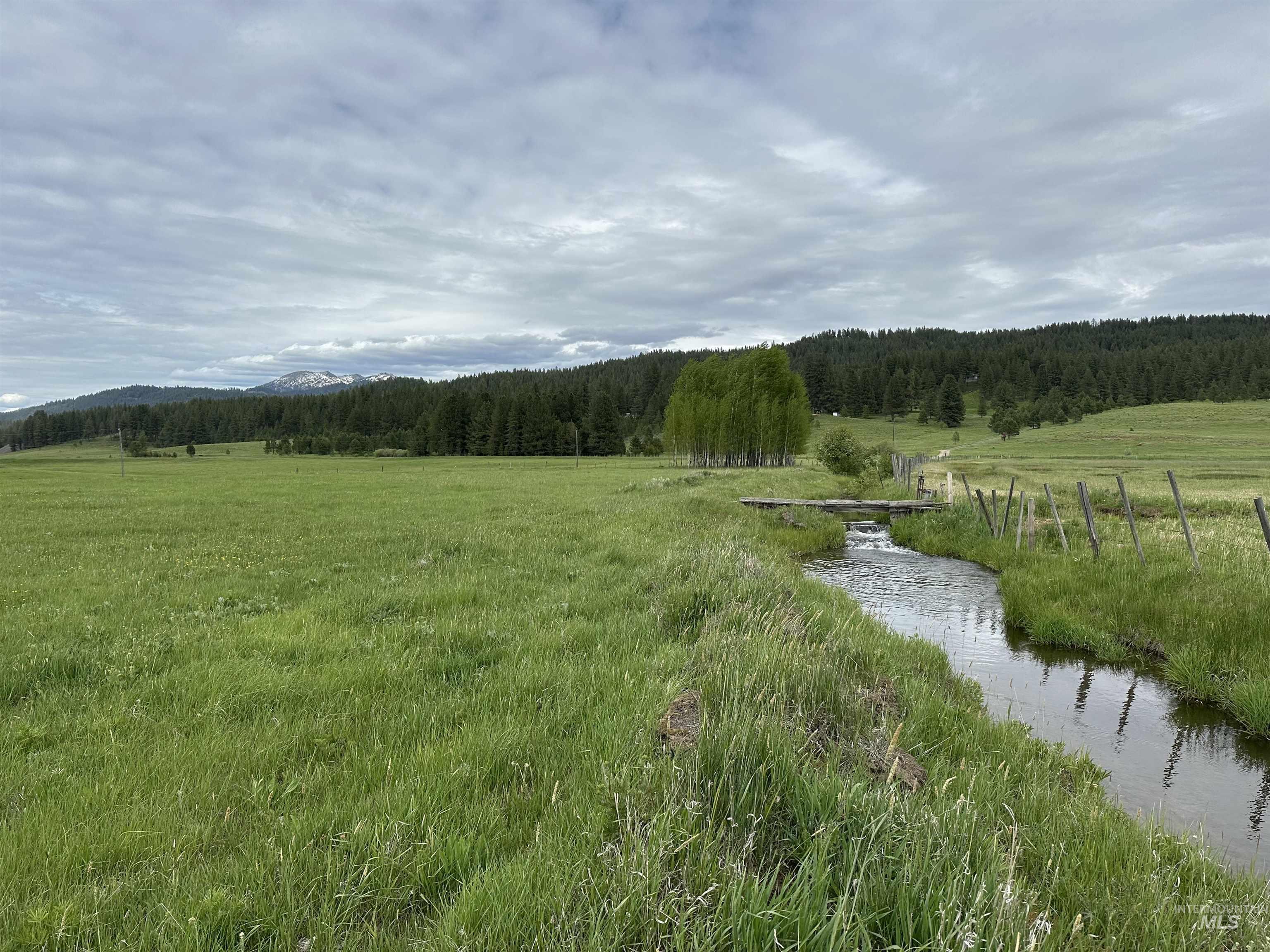 View of mountain background featuring a heavily wooded area