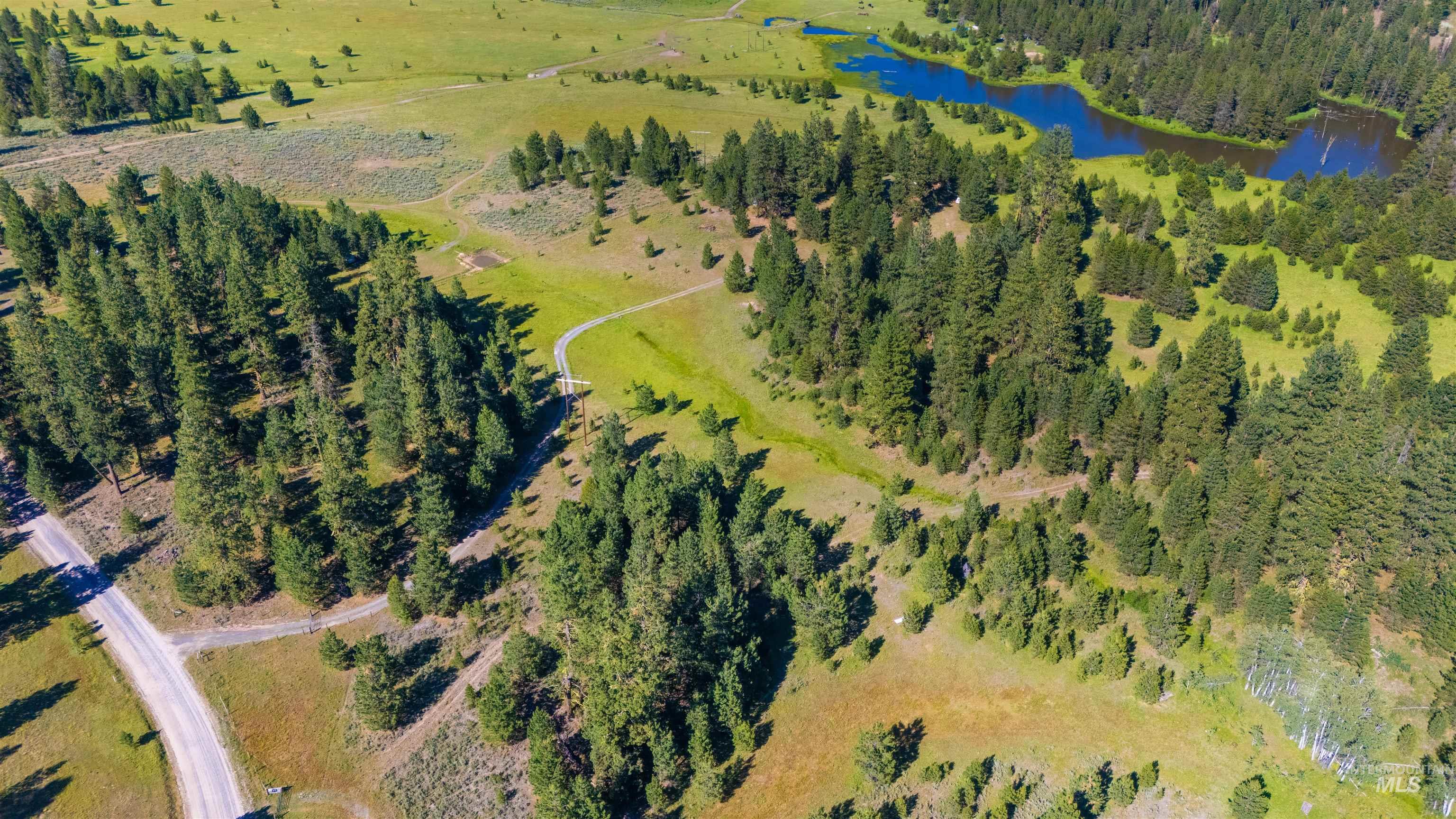 Drone / aerial view of a large body of water and a forest