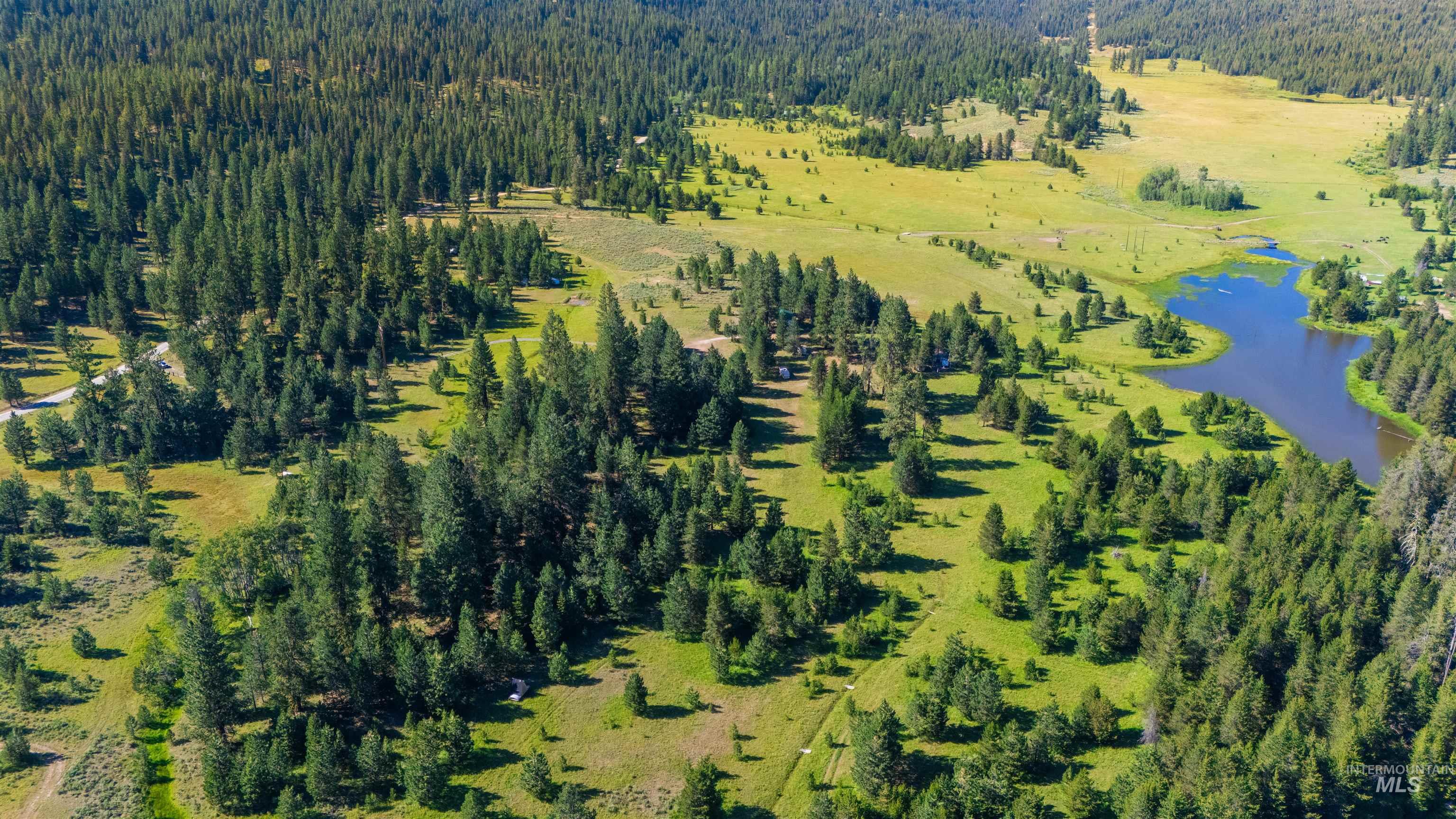 Drone / aerial view of a large body of water and a forest