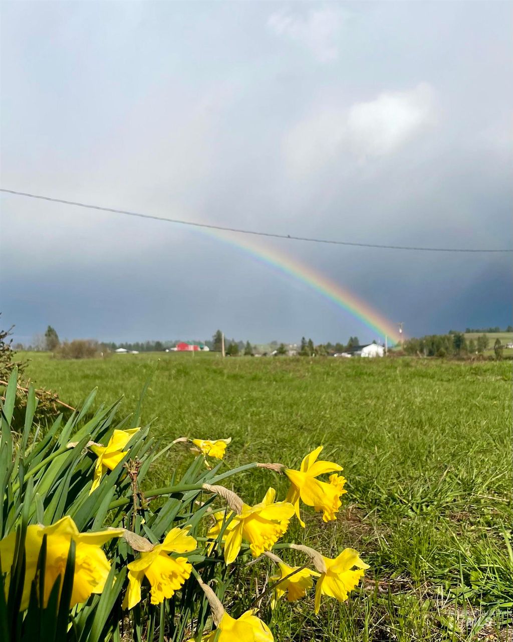 Photo of 637 Leitch Creek Rd #(+ 5AC Touch of Coun, Kooskia, ID 83539 (MLS # 98986905)