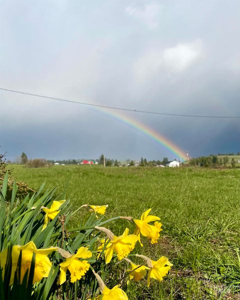 Photo of 637 Leitch Creek Rd #(+ 5AC Touch of Coun, Kooskia, ID 83539 (MLS # 98986905)