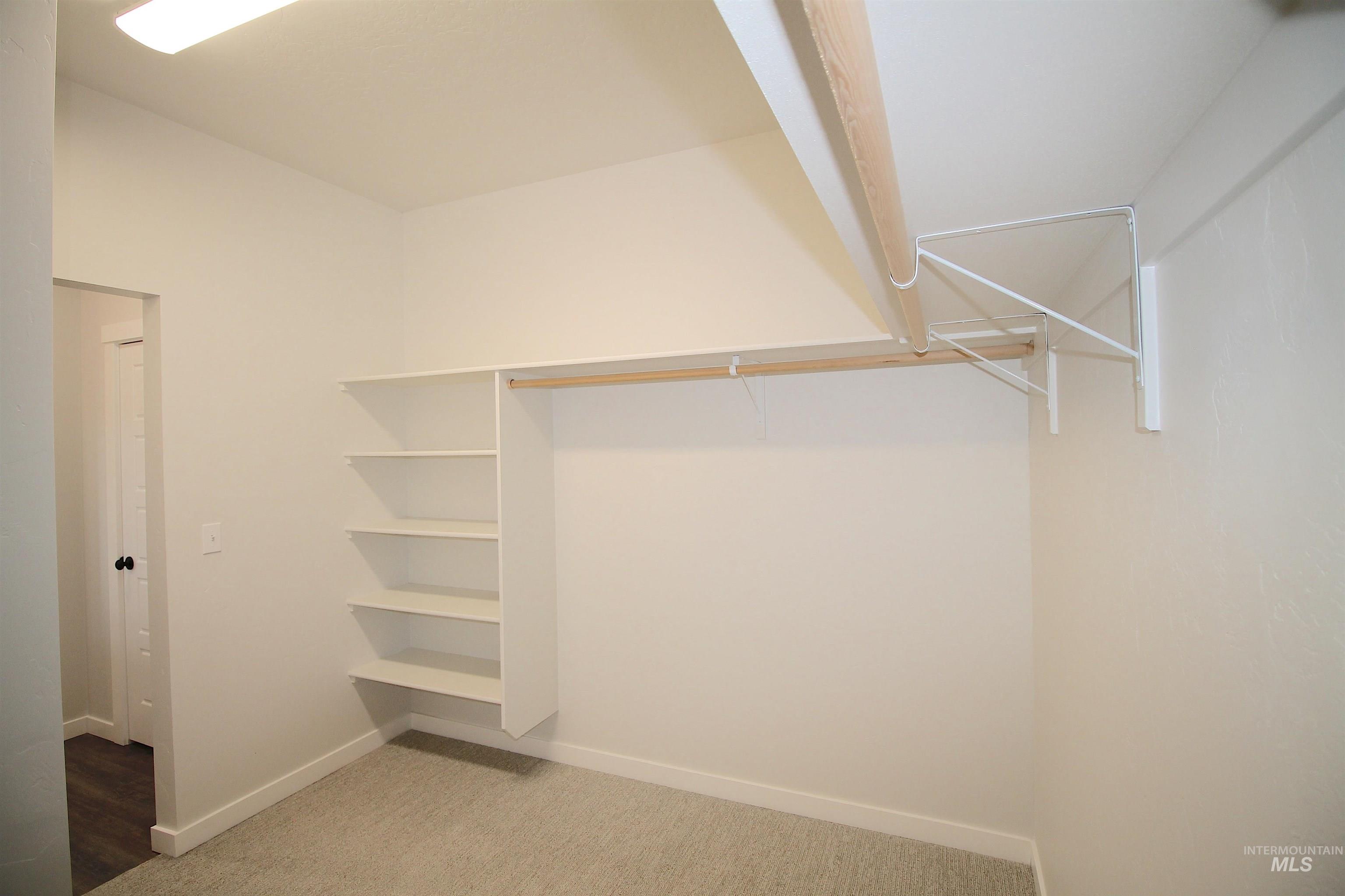 Built-in storage solutions featuring shelving and a hanging rod, complemented by neutral-toned carpeting